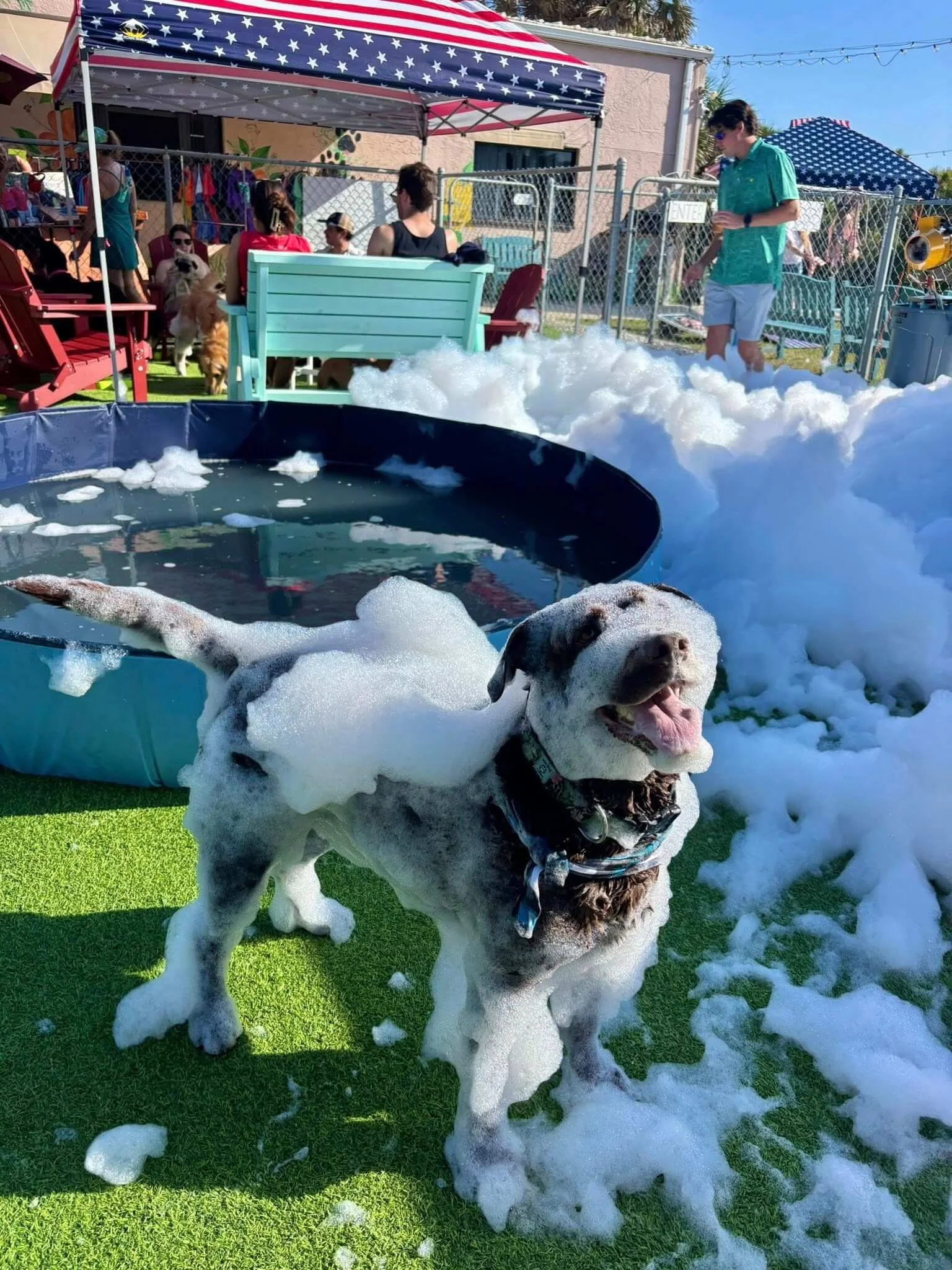 Pop-Up Foam Party (Just cause!)