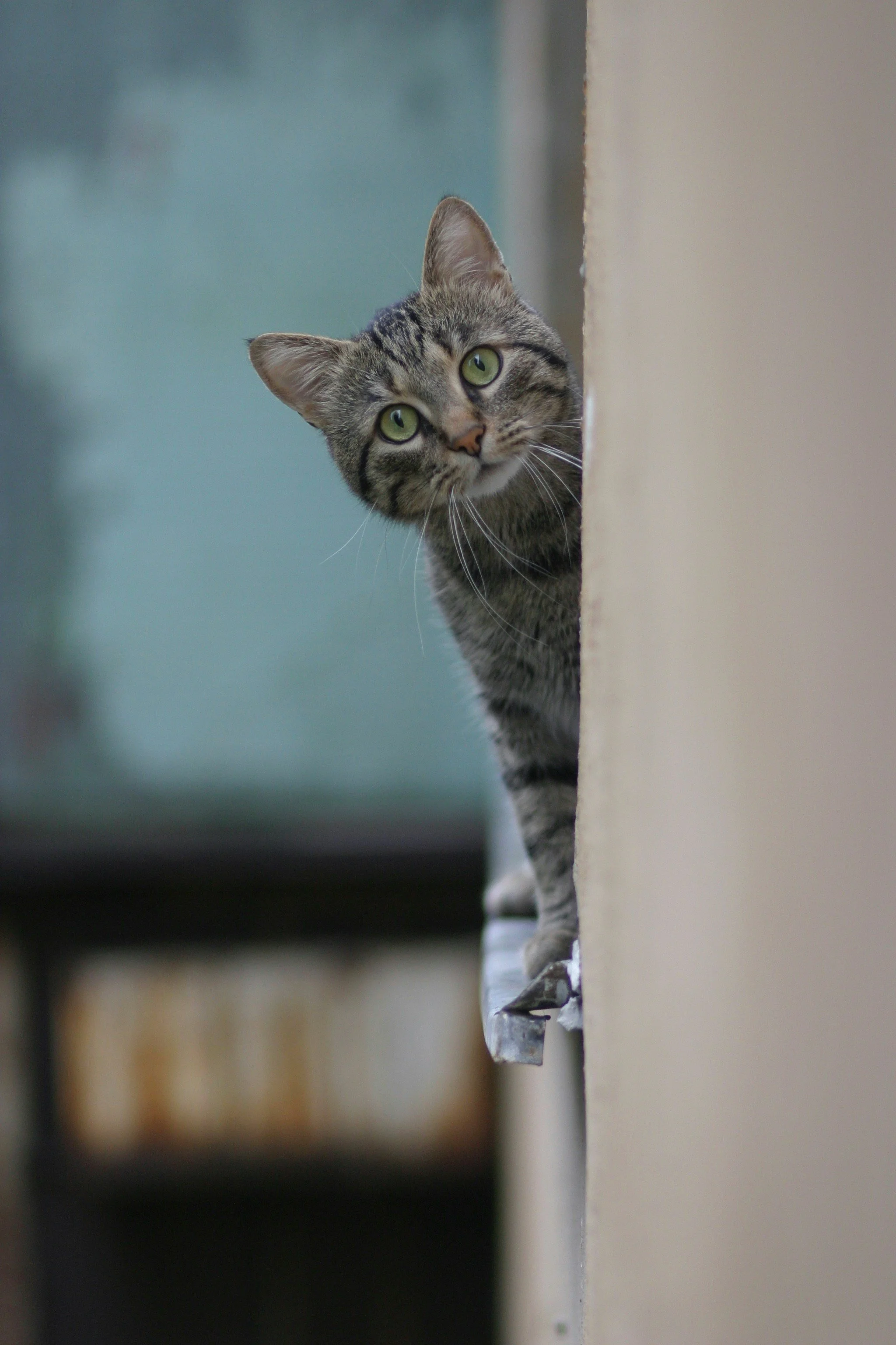 A tabby cat with green eyes peeking out from behind a wall.
