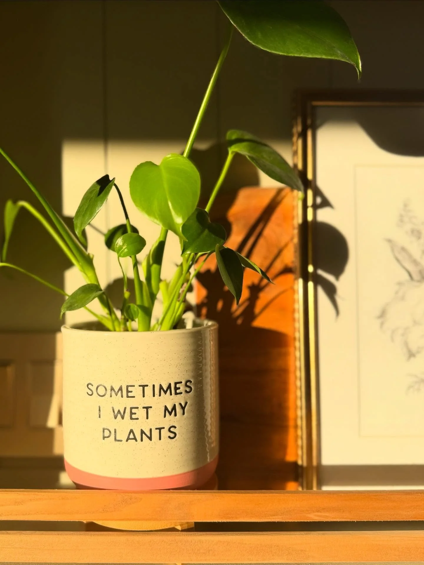 Next time you come across something that makes you smile &mdash; buy it. Your home should be filled with small, happy moments that bring you joy. This silly little pot does it for me every time. 😜