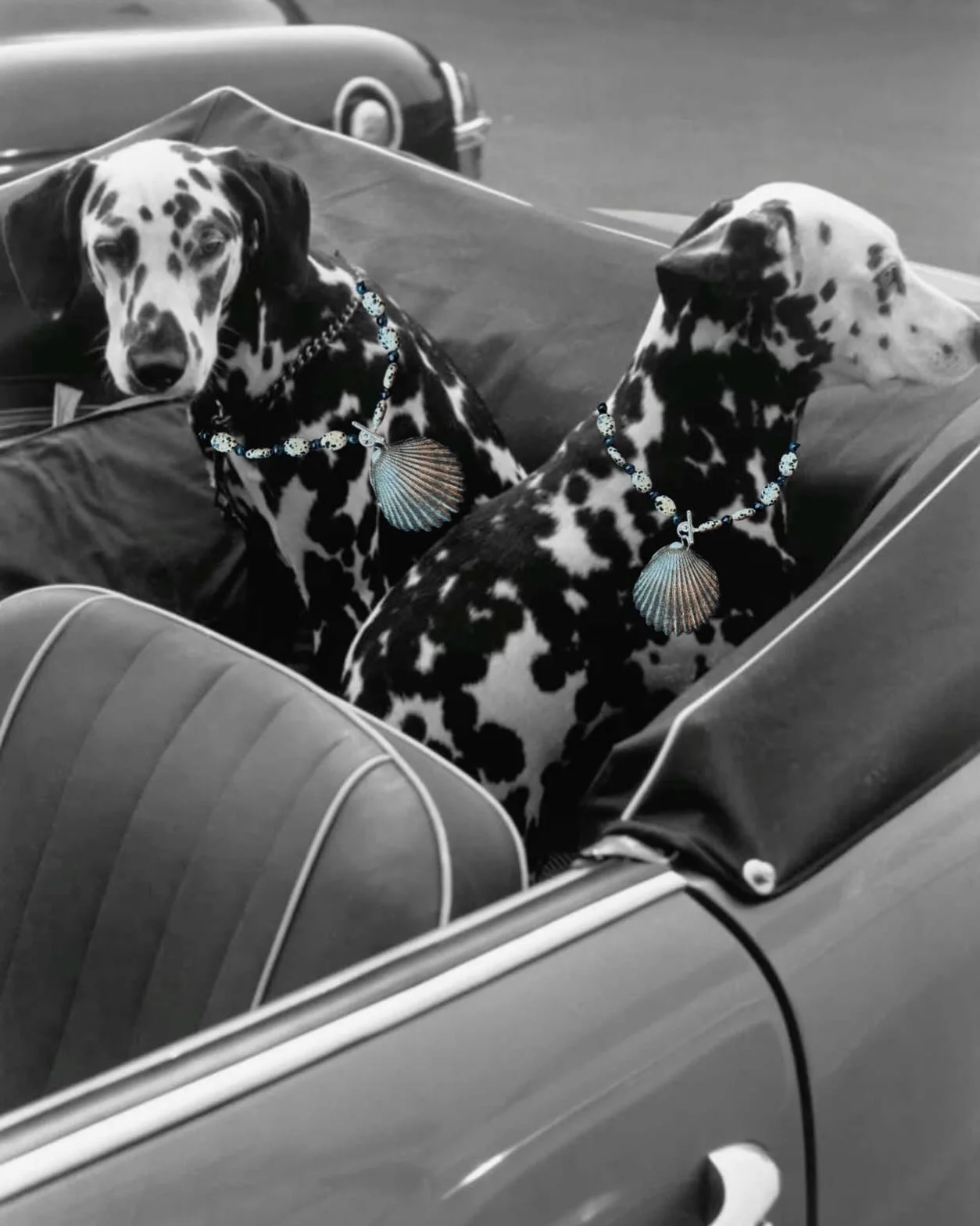 😙🖤🤍Dalmatians wearing Dalmatian Jasper necklaces🤍🖤😙 Perfect!

// Shop; Beaded Jewelry; Shop Small; New Products, Coming Soon; Influencer; Art; Handmade Jewelry; NYC; The Hamptons