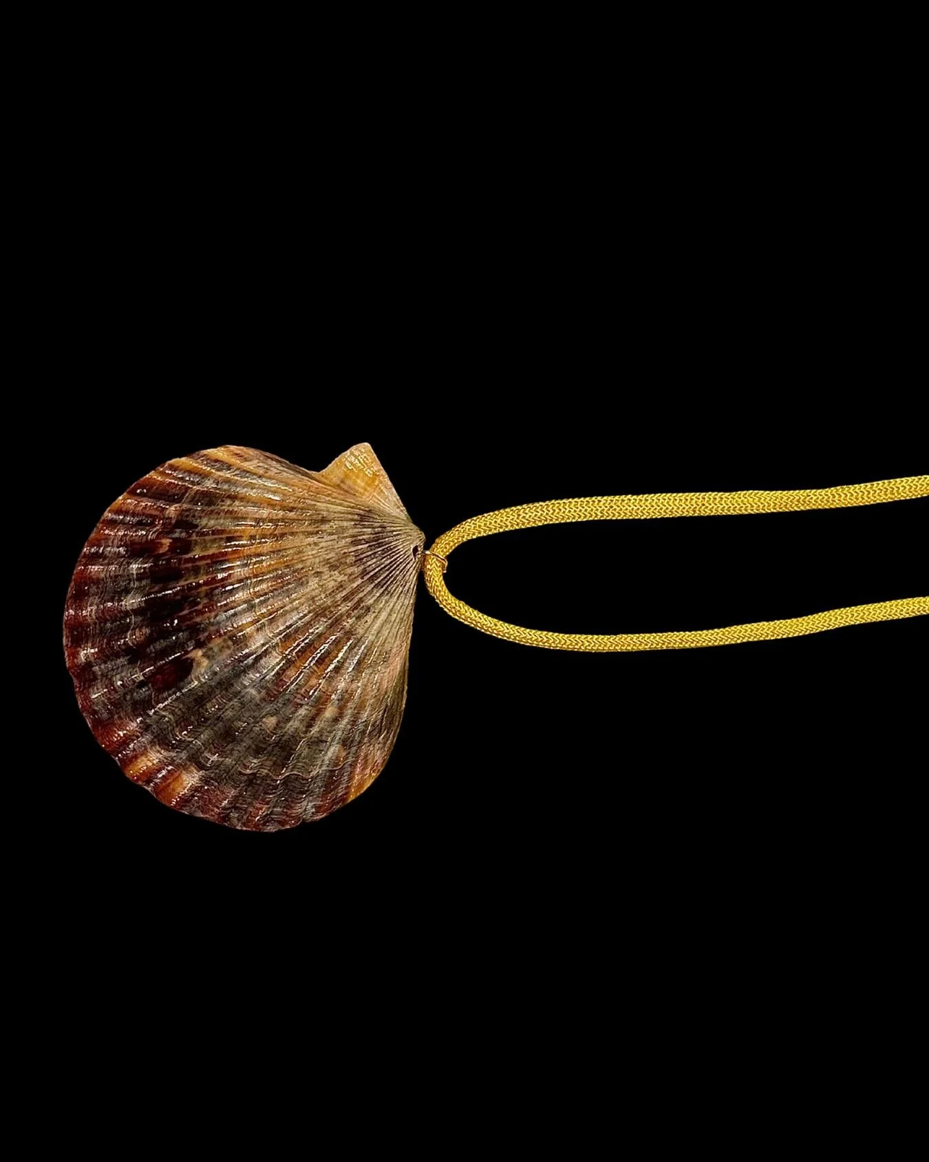 Burnt Orange Amagansett Necklace, available now on Bijouxetbisous.com and linked in my bio!! 

Happy shopping, shell girls xoxo

#BijouxetBisous #ShellGirls #NYC #SmallBusiness