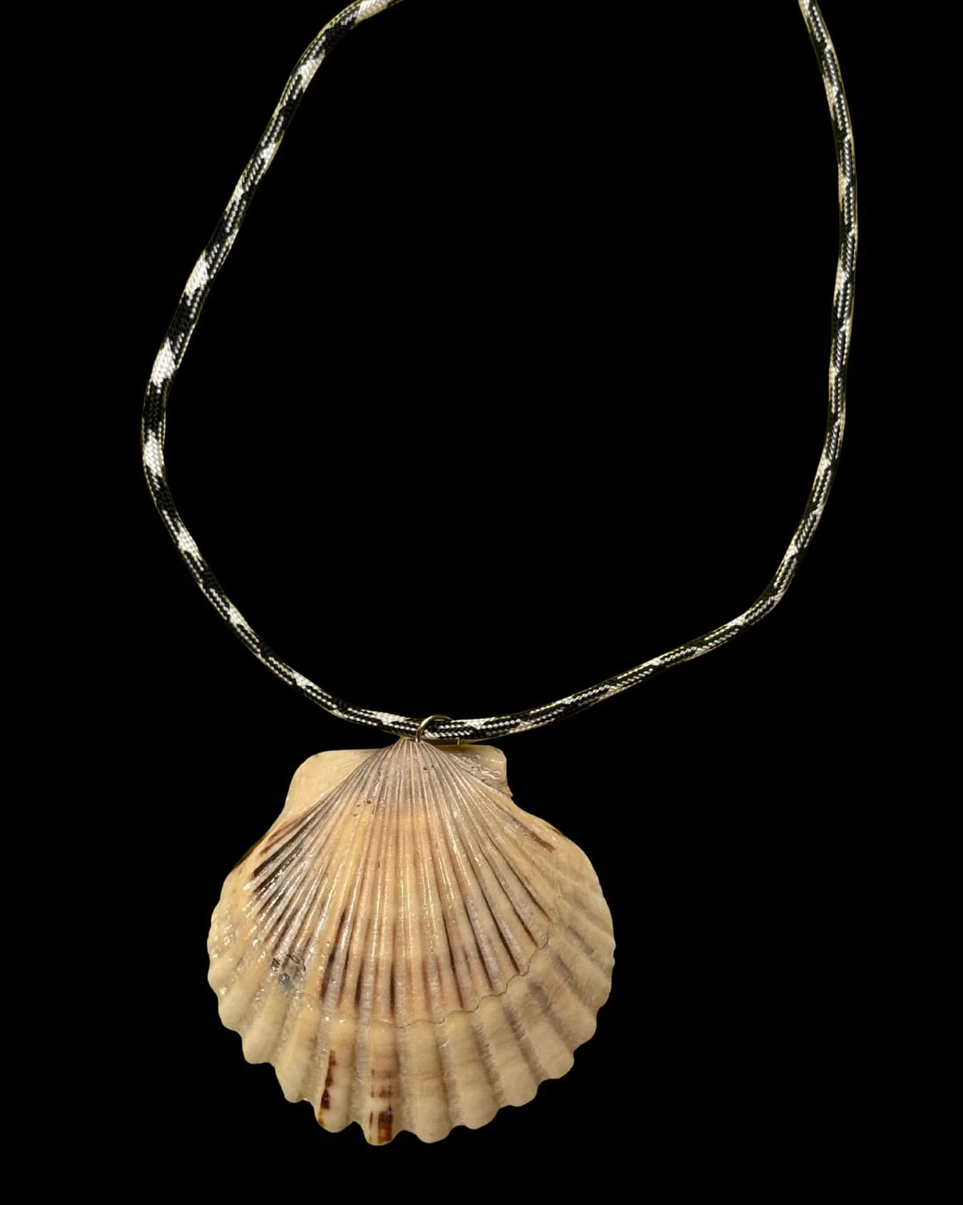 One of my personal favourite variations of tje Amagansett Necklace - a large Blanc Scallop on a B&amp;W paracord chain🖤🤍🖤🤍🖤🤍

#BijouxetBisous 

Small business // shell necklace // Shell jewelry // handmade // NYC // shop now