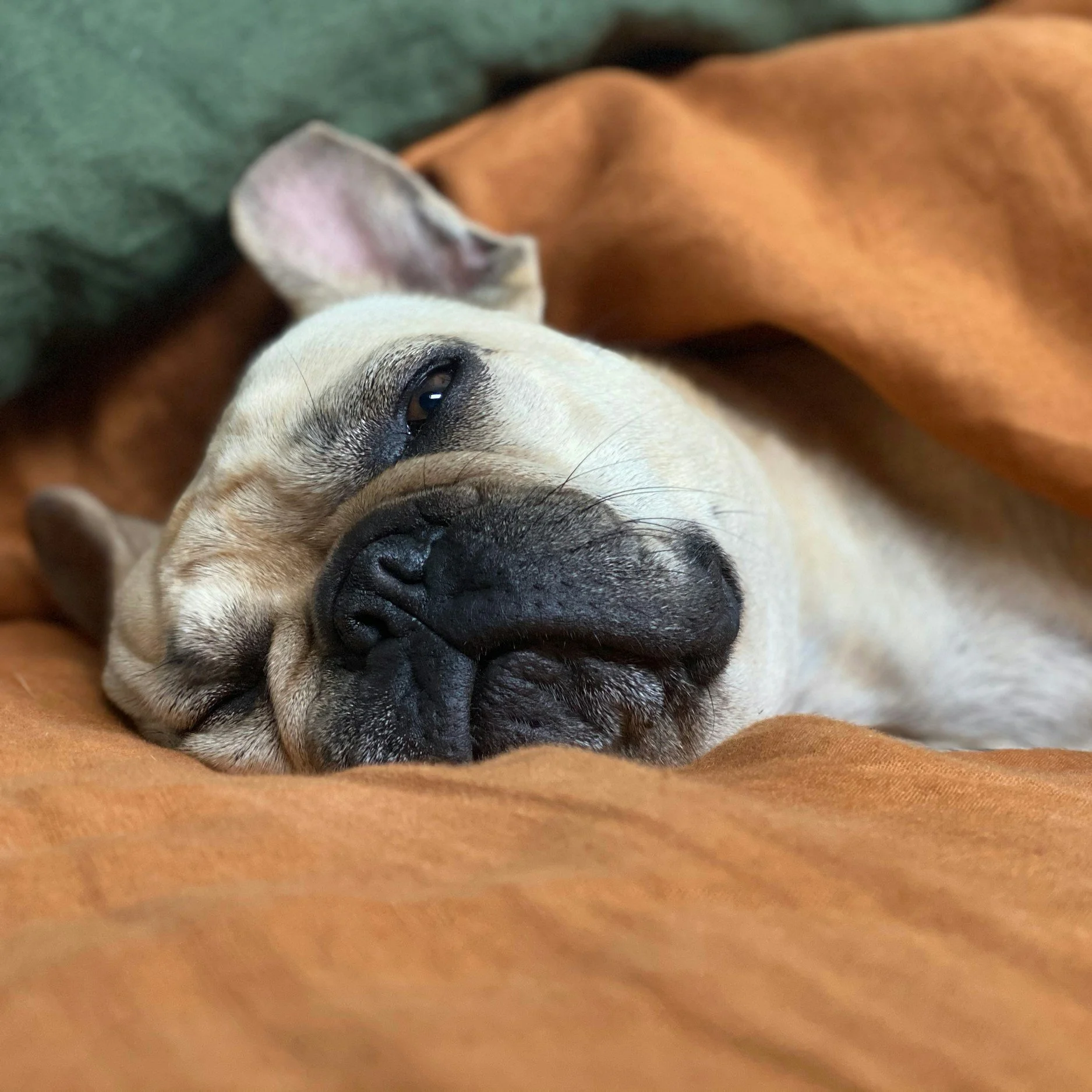 Am I Lazy or Just Exhausted? Why Calling Yourself Lazy Misses What’s Really Going On