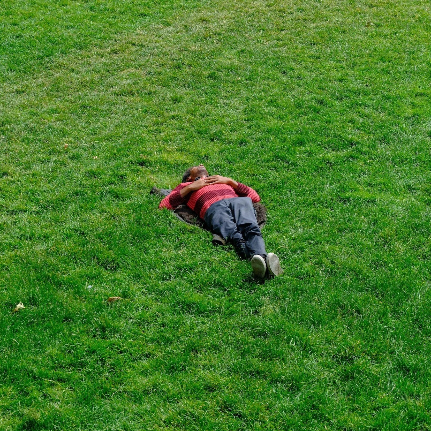 The Role of Nature in Mental Health: Why “Touch Grass” Might Actually Be Good Advice