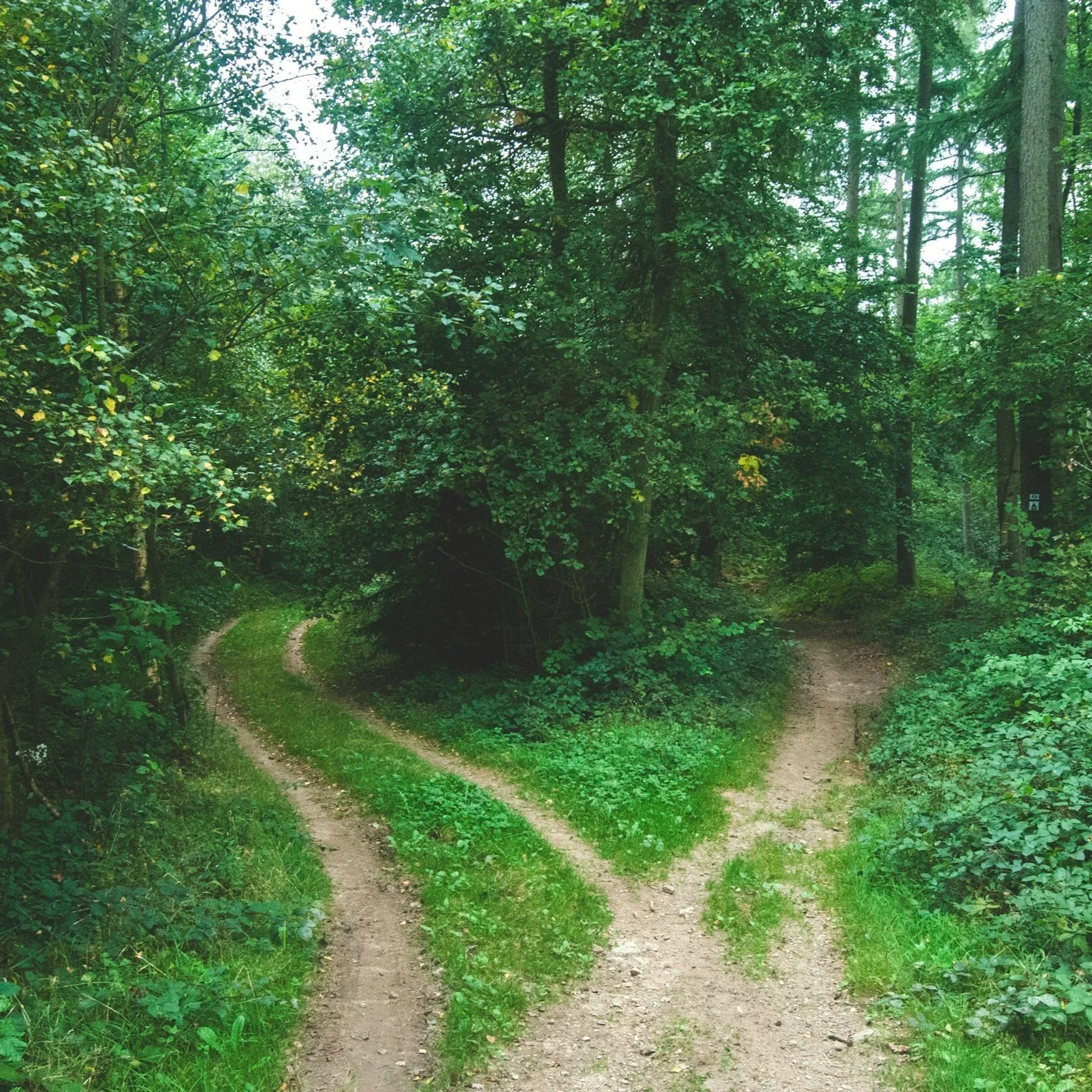 Breaking Generational Cycles: How To Do Things Differently Without Losing Yourself