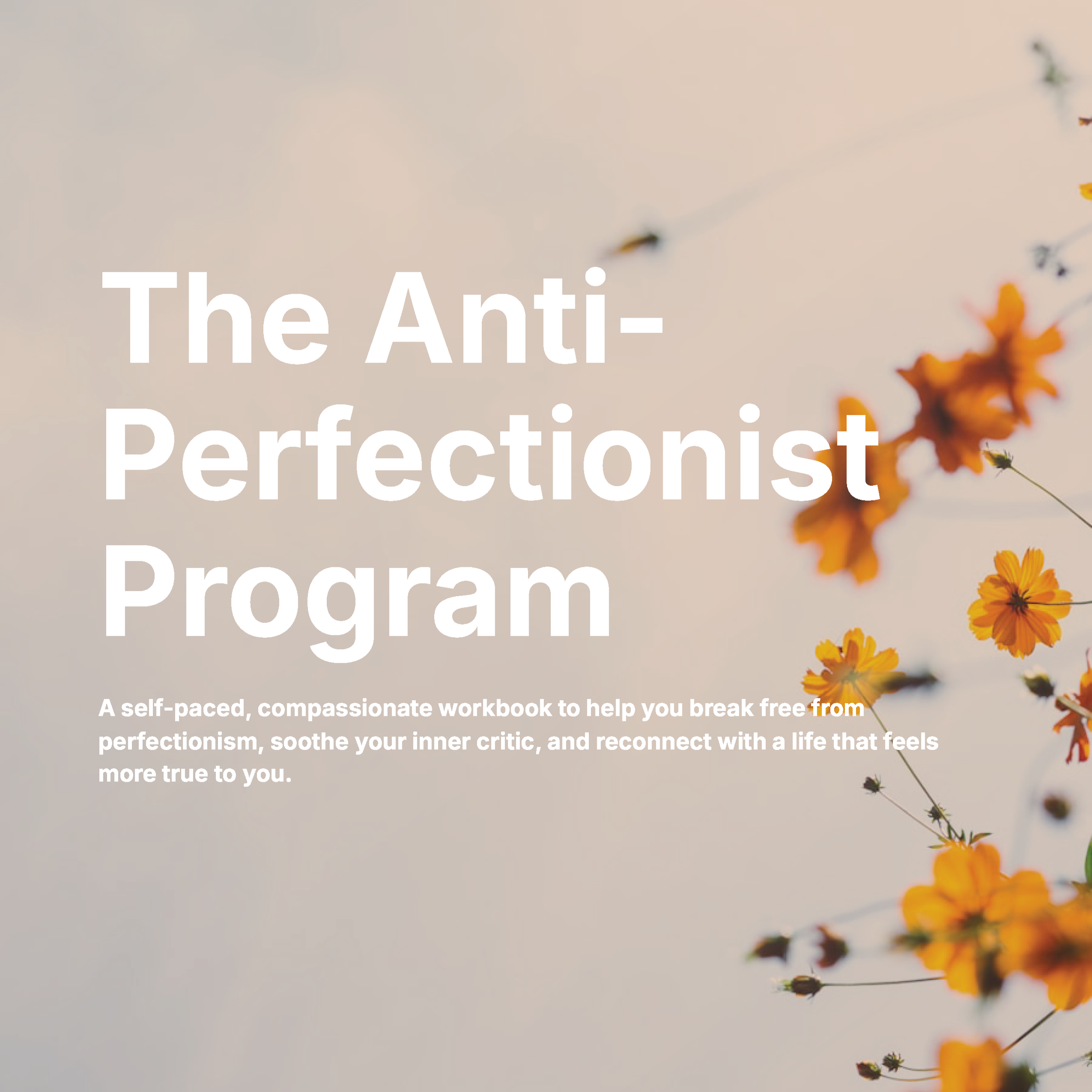 Anti-Perfectionist_Program+photo+%281%29_Page_001.png