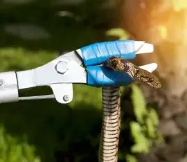 A robotic hand holding a small stick insect outdoors.