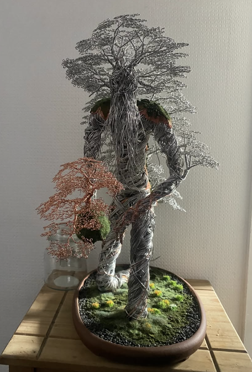 Kokedama