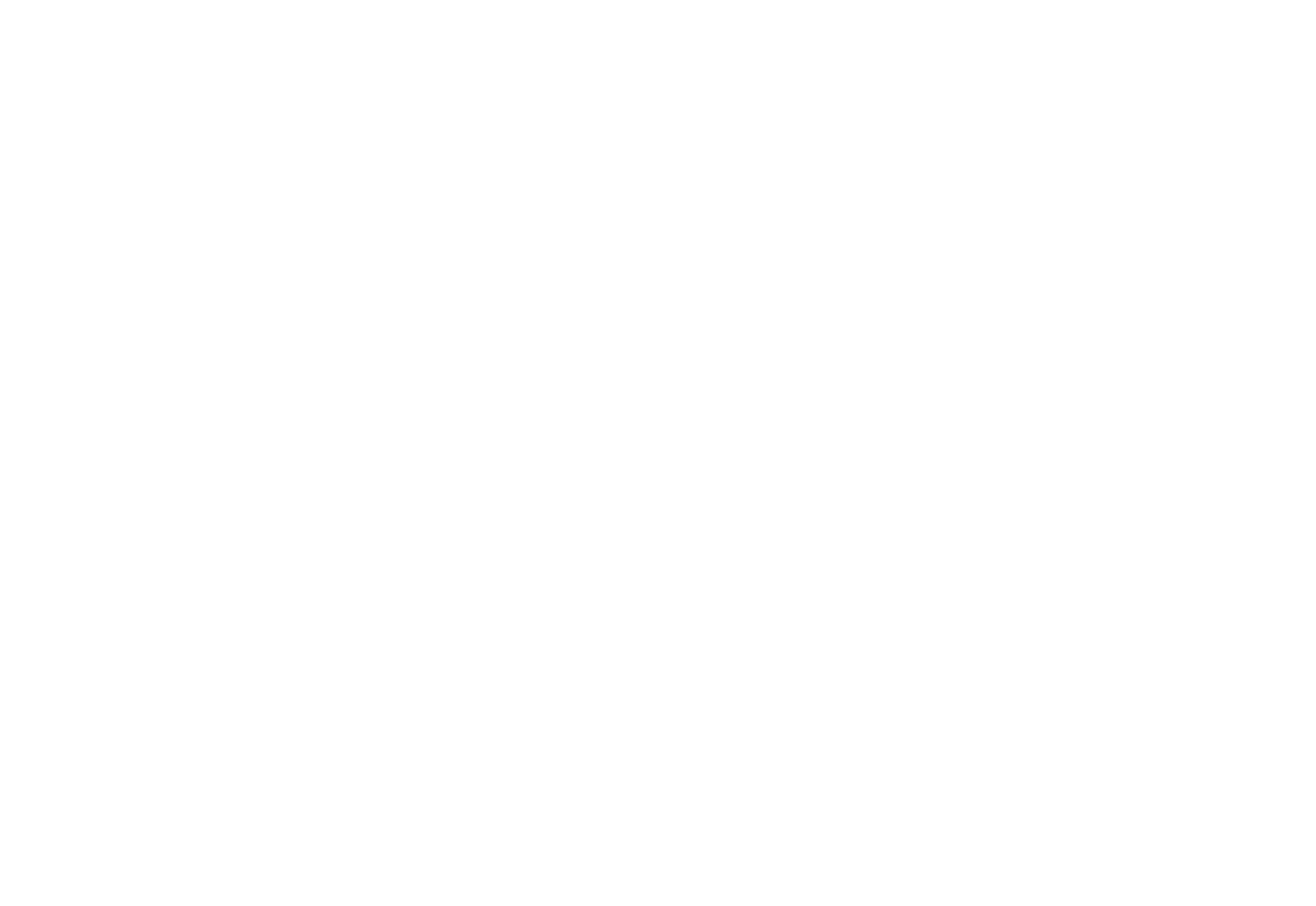 THE FRAMELAB