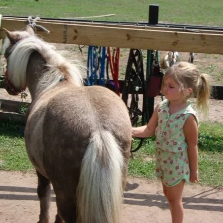Equine Assisted Parent Coaching