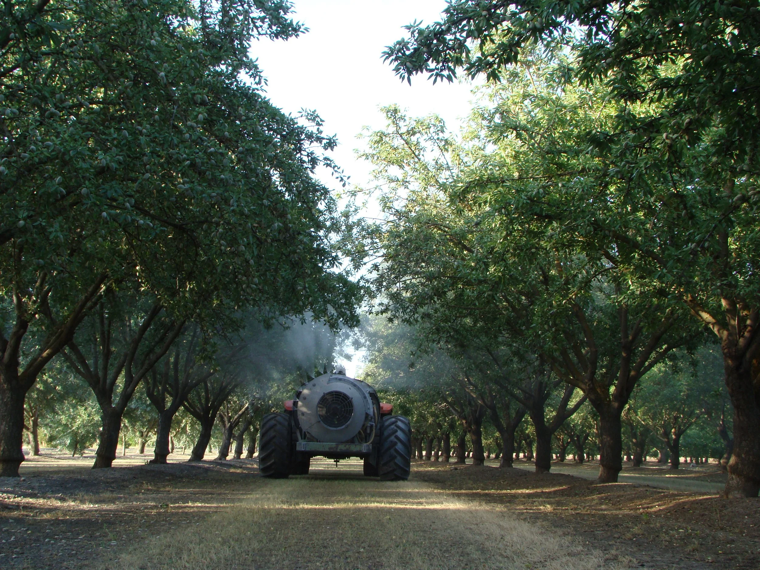Tractor applying proprietary product in a tree nut field