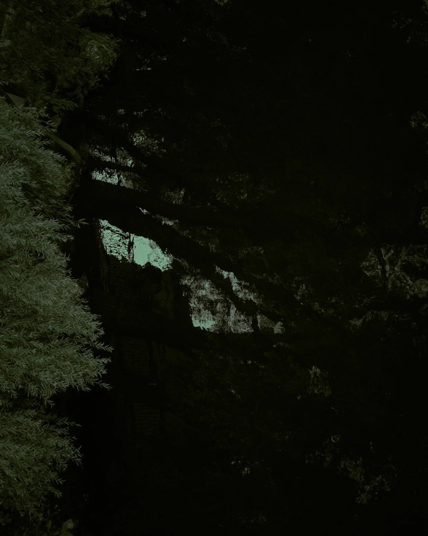 #ThroughTheLens #Snapshot #Exposure #Moment #PhotographyAddict