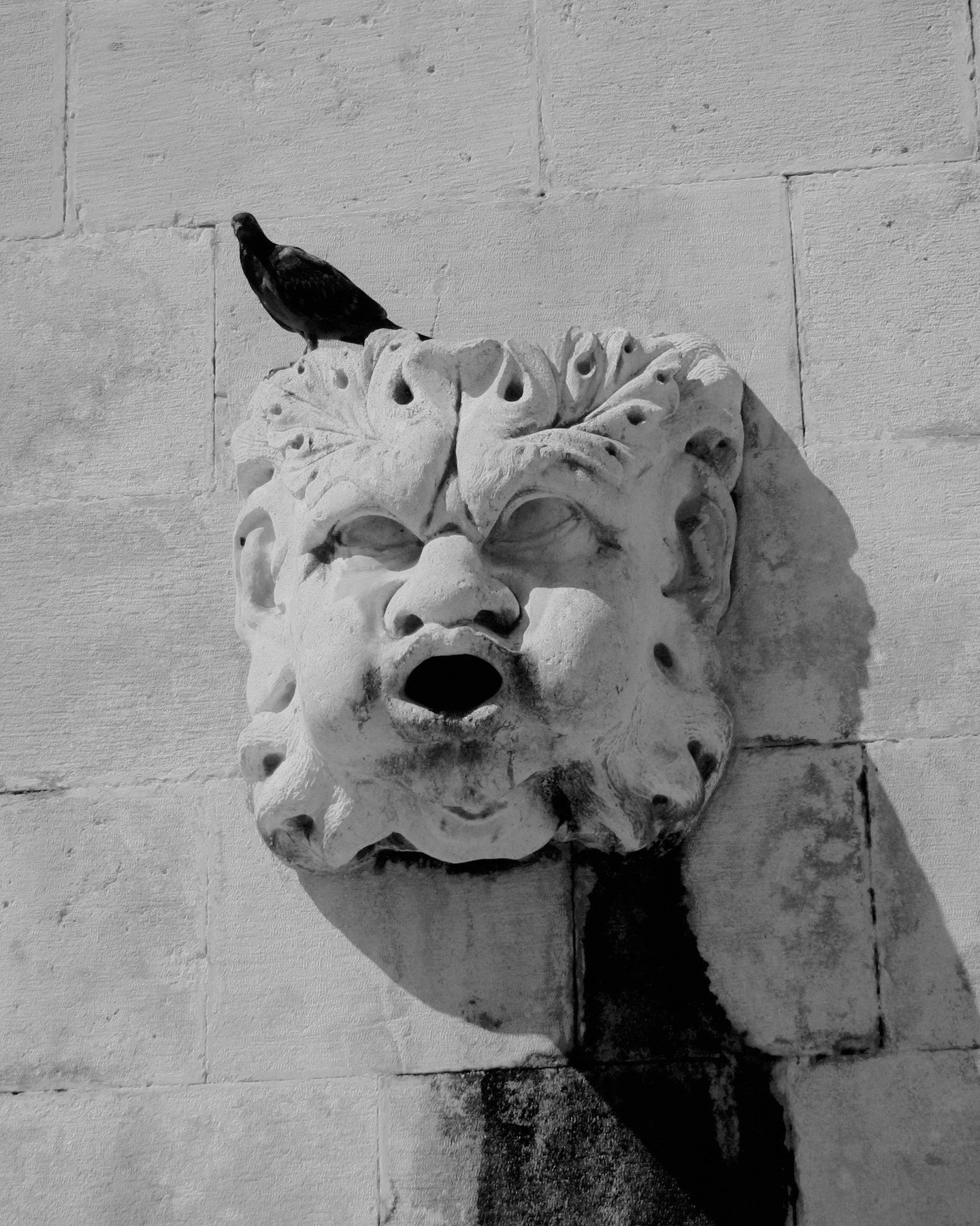 #streetphotographybnw
#streetphotographyworldwide