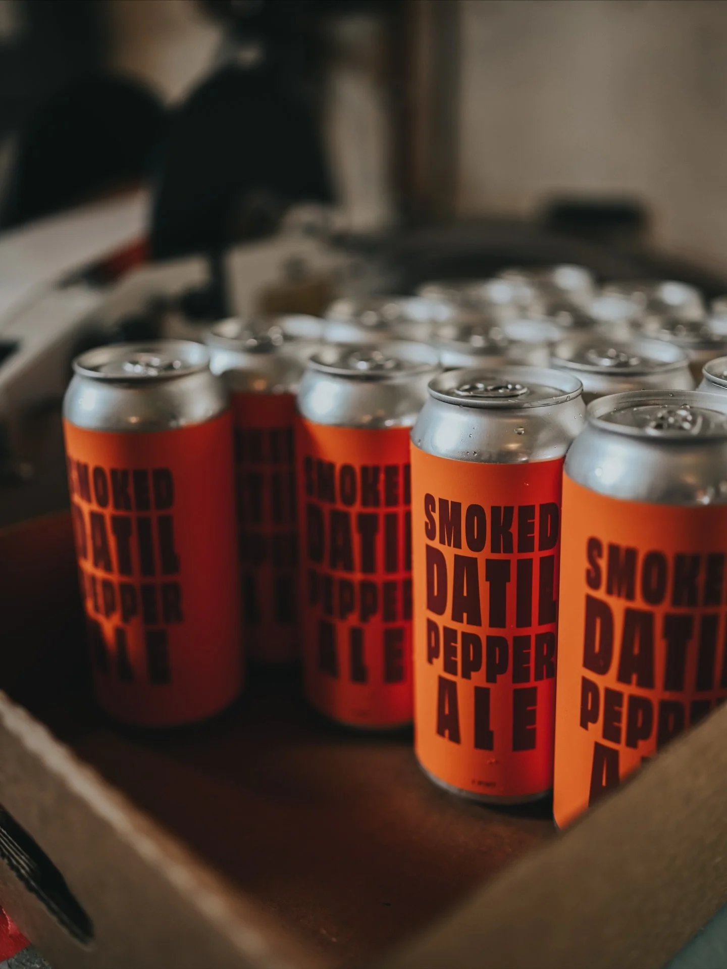 Spice up your Thanksgiving dinner with some Smoked Datil Ale, ready to go in cans... along with a bunch of others.

#staugustinethanksgiving #bogthanksgiving #thansgivingbeer #canstogo #bogtogo #beertogo #staugustineholidays #staugustine #staugustine