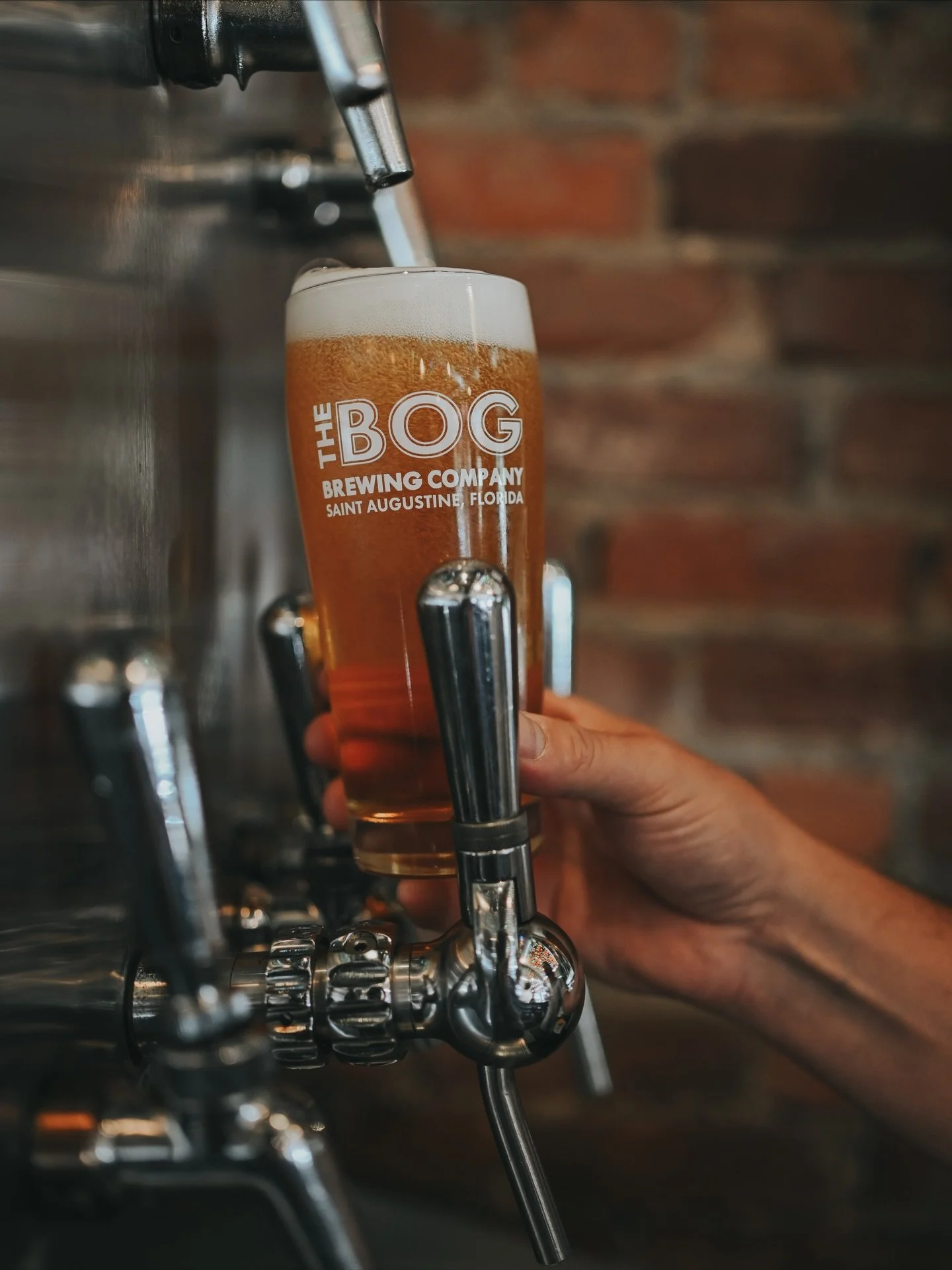 Hey! It&rsquo;s Black Friday! How was the shopping? Need a beer? We gotchu.

#blackfriday #staugustinefl #staugustineshopping #staugustinebeer #staugustinebrewery #thebog #bogbrewing #bogbeer