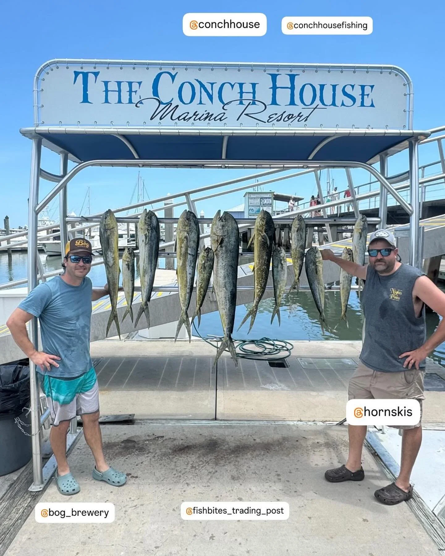 Those new #Bogbeer hats bring in lots of fish!
