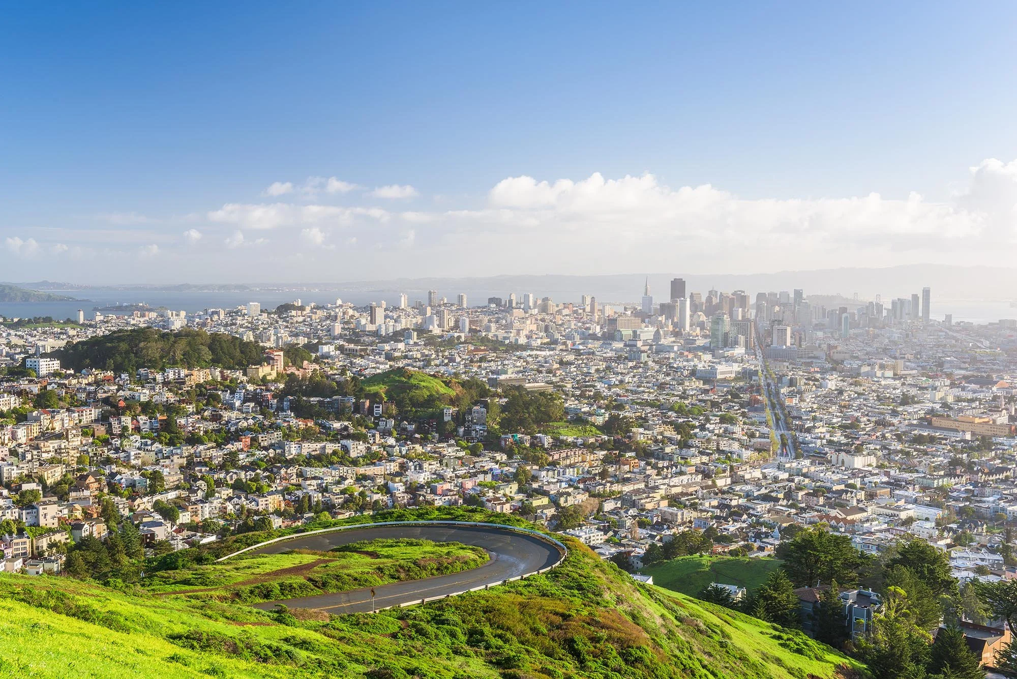 A cityscape view of San Francisco from a green hill with a winding road in the foreground, high-rise buildings in the distance, and a bay with water beyond.