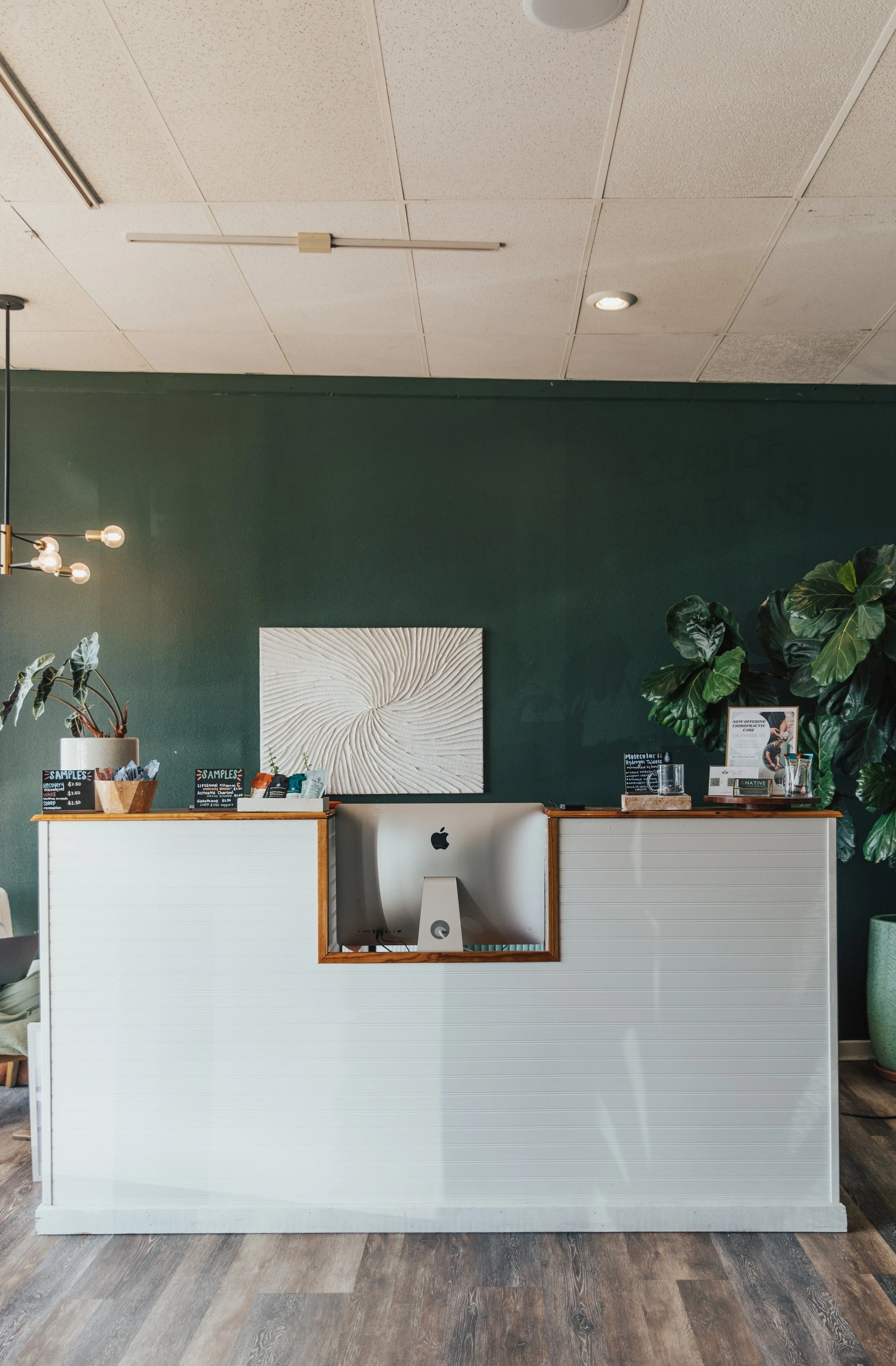 A modern reception desk with a white front and wooden trim, featuring an Apple iMac computer, a potted plant, and informational signs. The background wall is dark green with a textured white artwork and large leafy plants on each side.