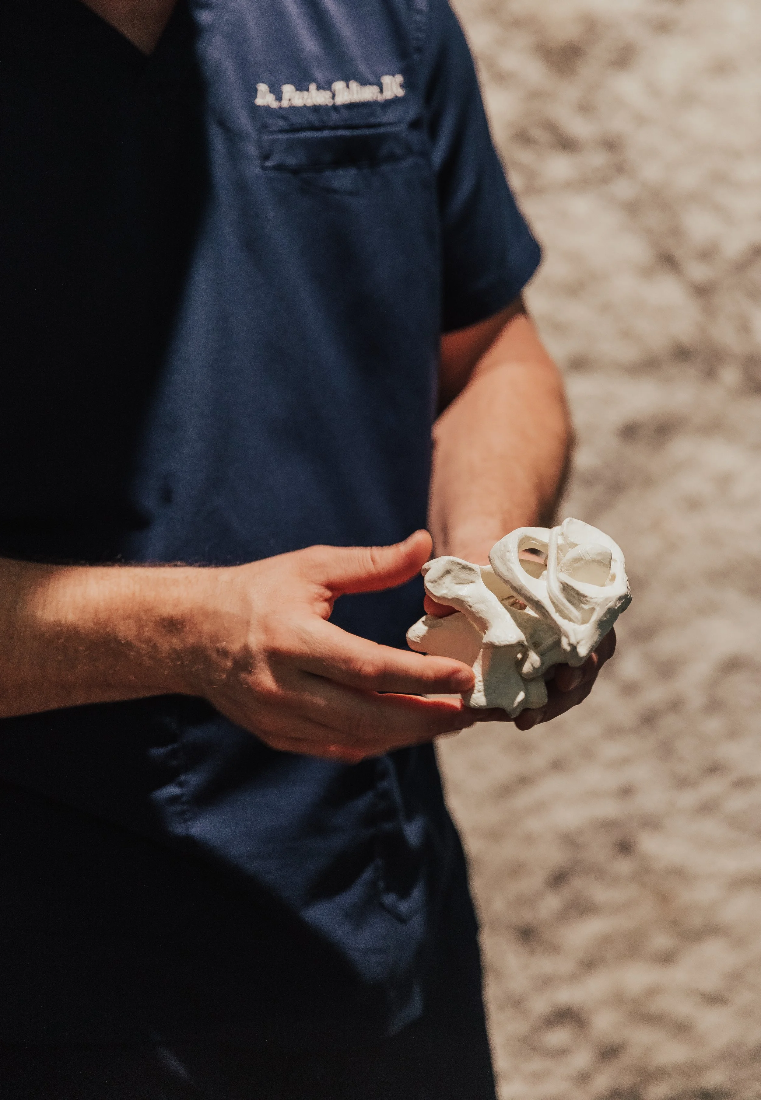 male chiropractor holding upper cervical bone replica teaching a patient