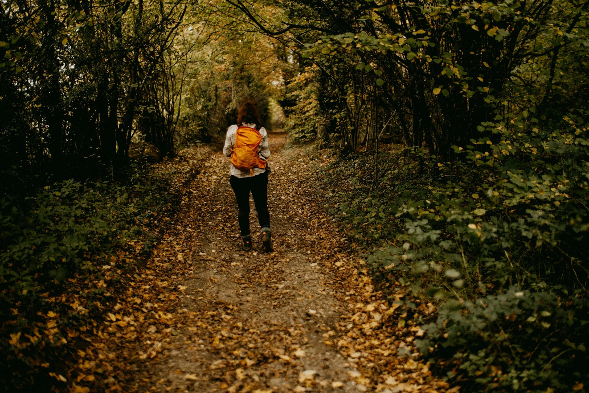 Sometimes there isn't one problem to solve—just a feeling that something needs to change. Individual coaching offers the space to explore what's happening and where you want to go from here.