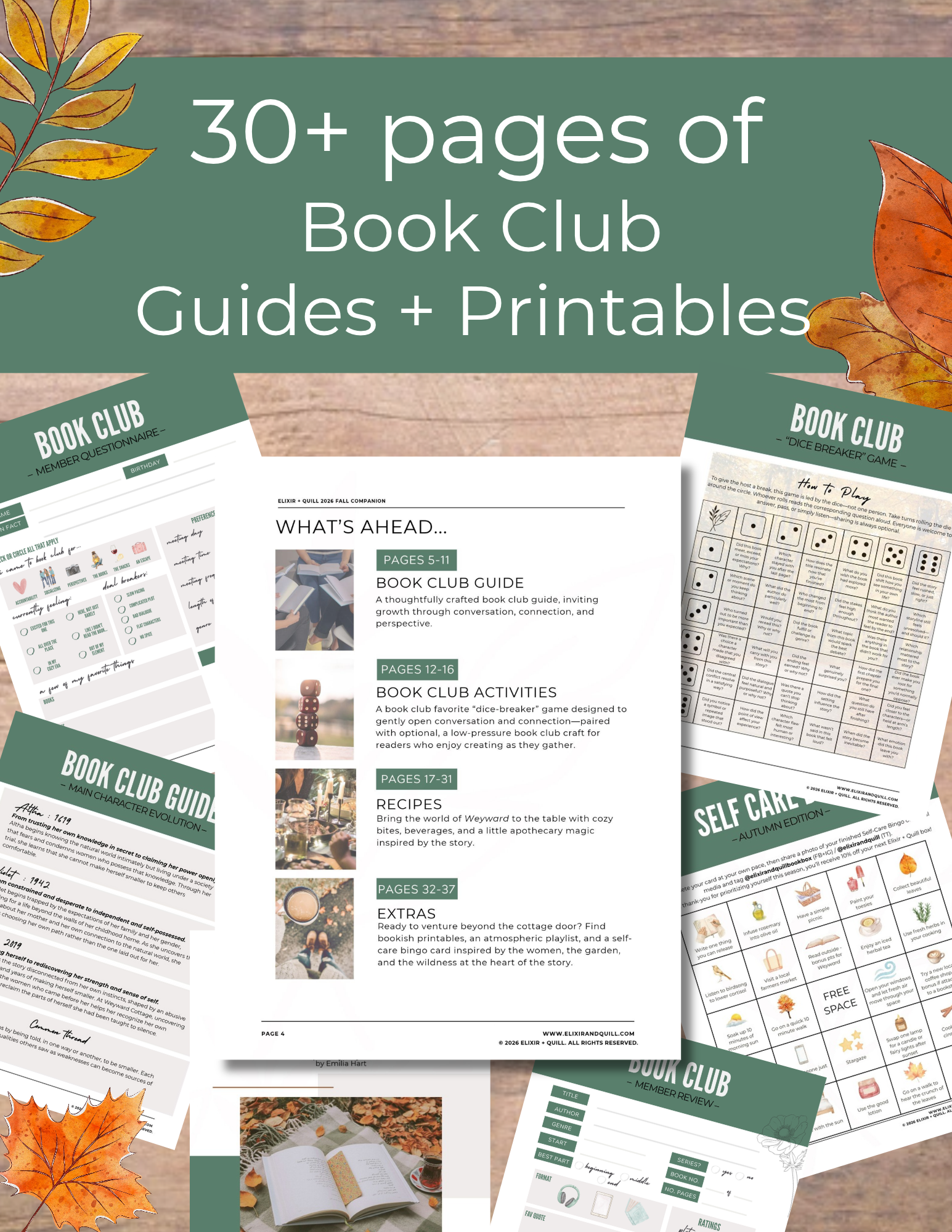 Copy of Etsy Summer Bundle (6).png