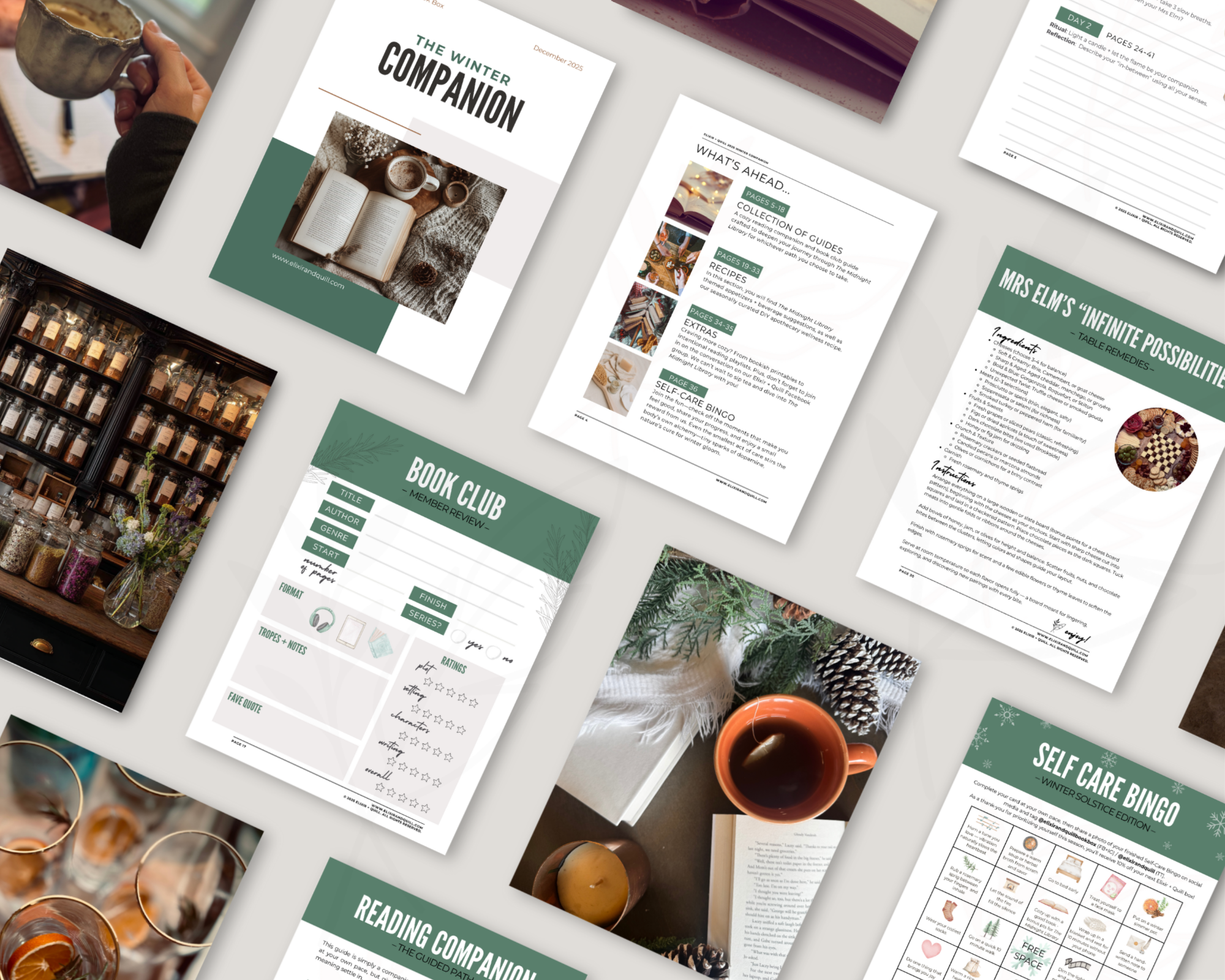 Winter Companion photo collage (1).png