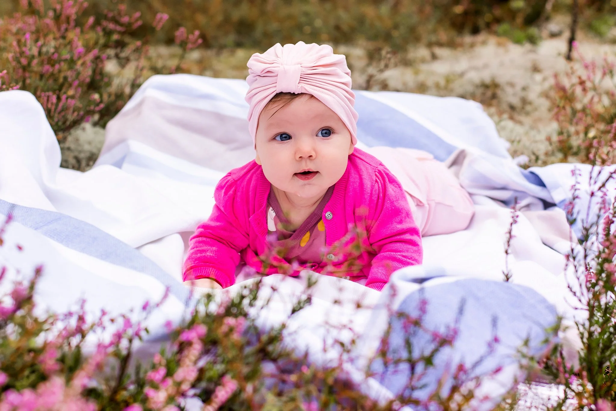 DSC_6282WEB (1).jpg