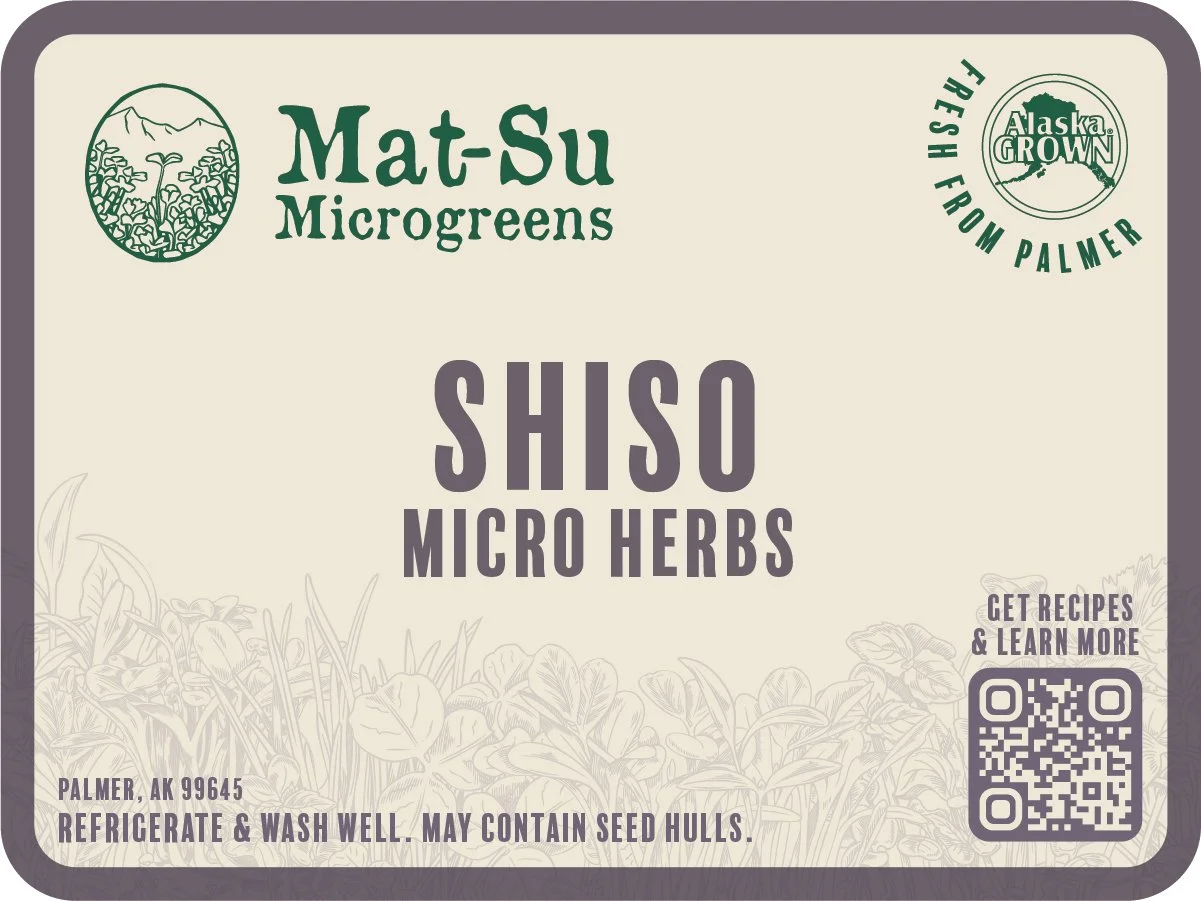 MSM_SHISO.jpg