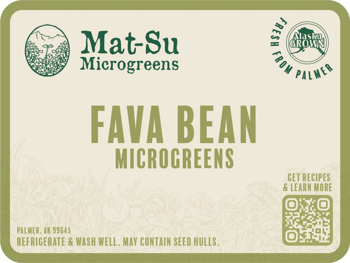 Fava Bean Microgreens