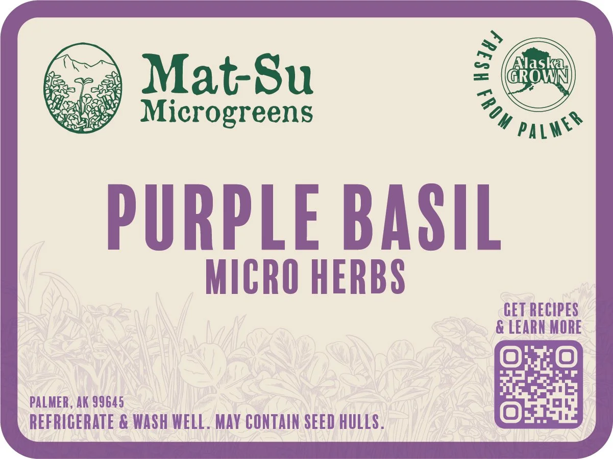 Purple Basil Micro Herbs