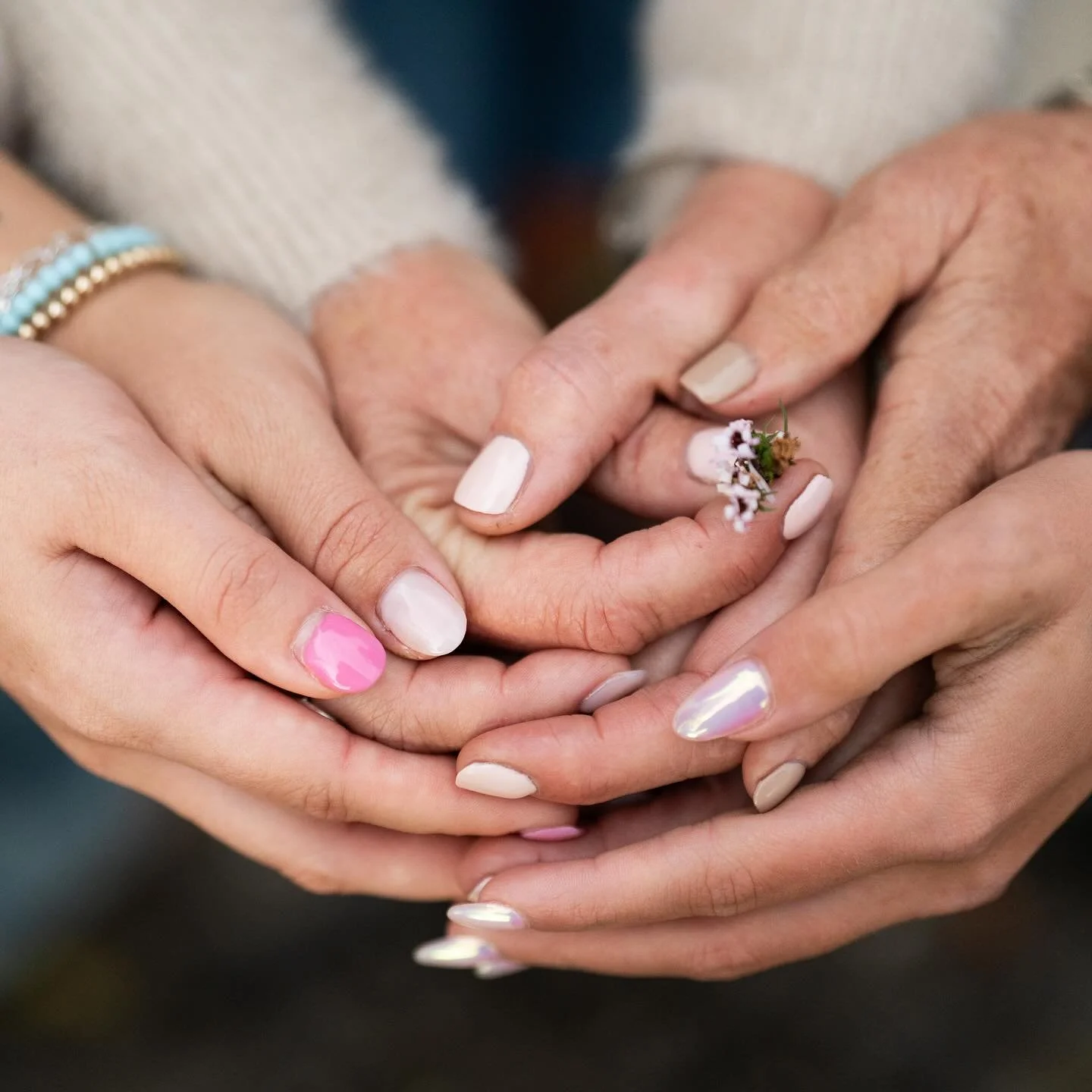 What an adventure we found tonight in a beautiful field with some cows and the golden sun peeking through after the rain! 🌧️ 🐄 ☀️