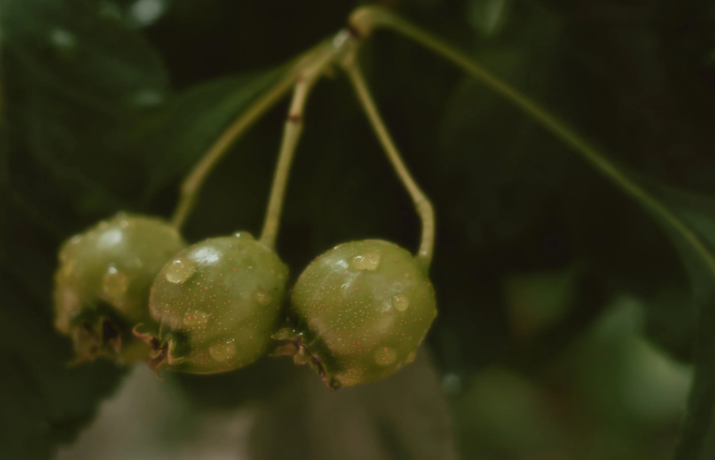 DCY00069.jpg
