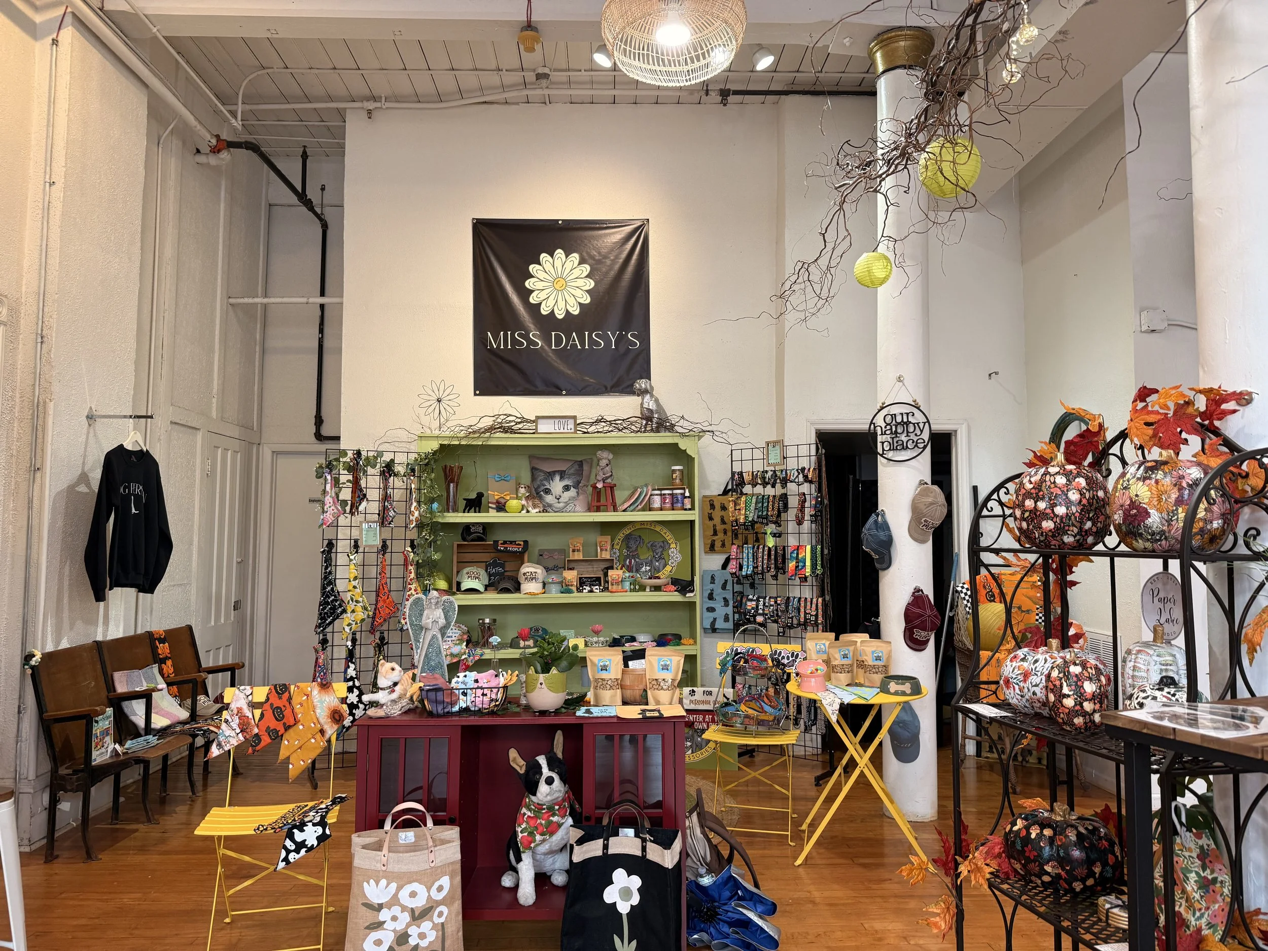Interior of a gift shop with various colorful items on display including plush toys, hats, handbags, and decorative pumpkins with fall leaves, under a sign that says 'Miss Daisy's'.