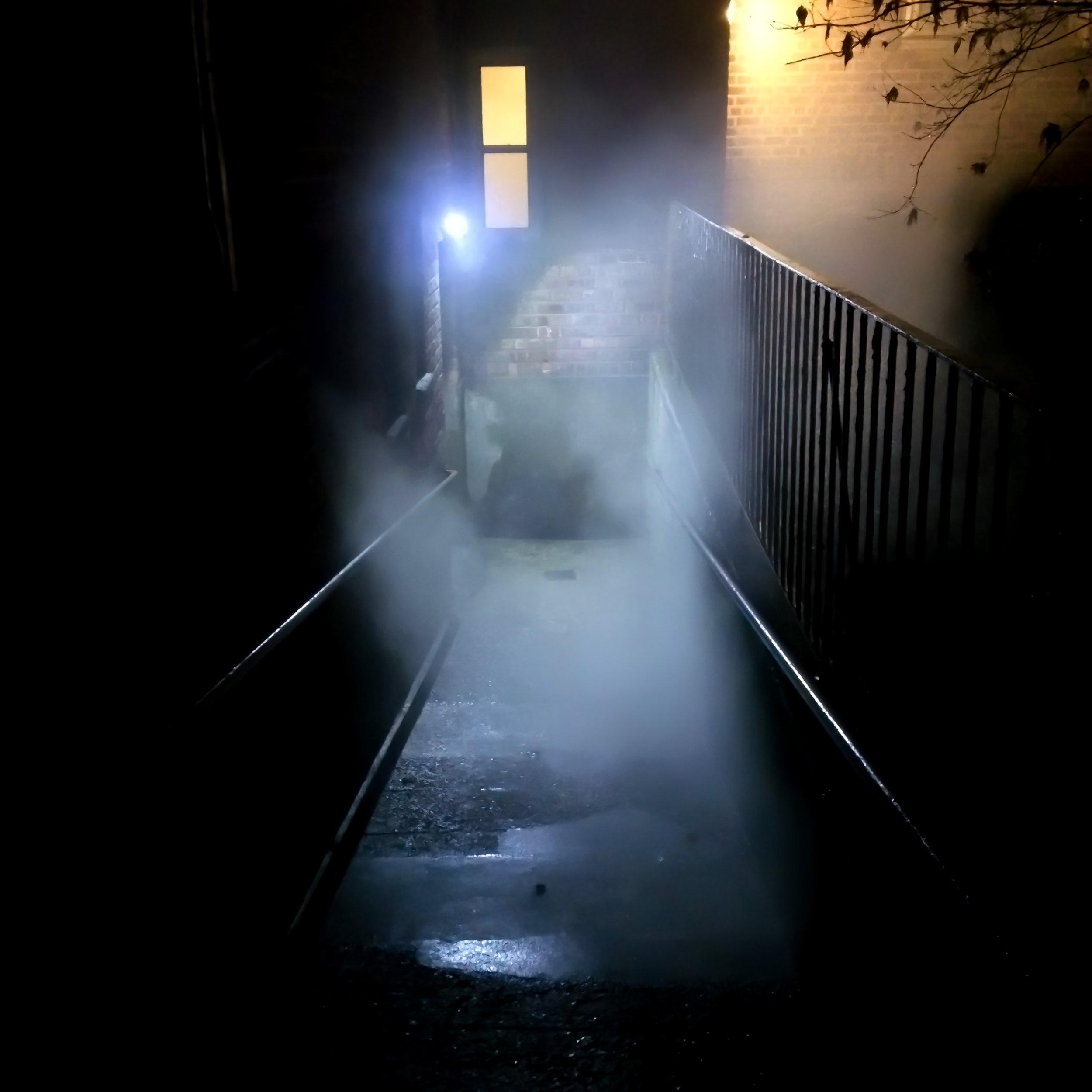jackson-heights-fog.jpg
