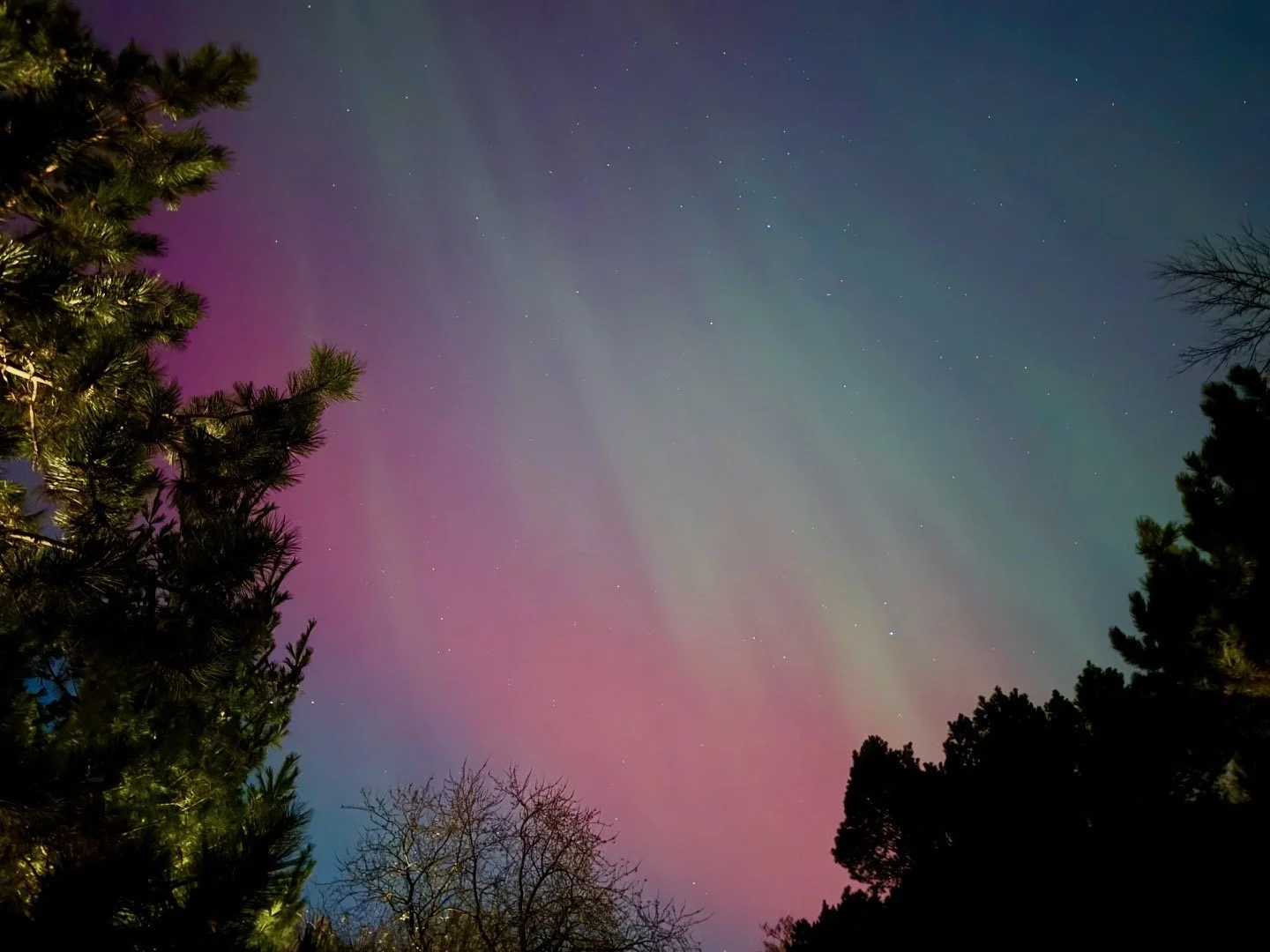 Aurora 11-11-25 - 09.jpeg