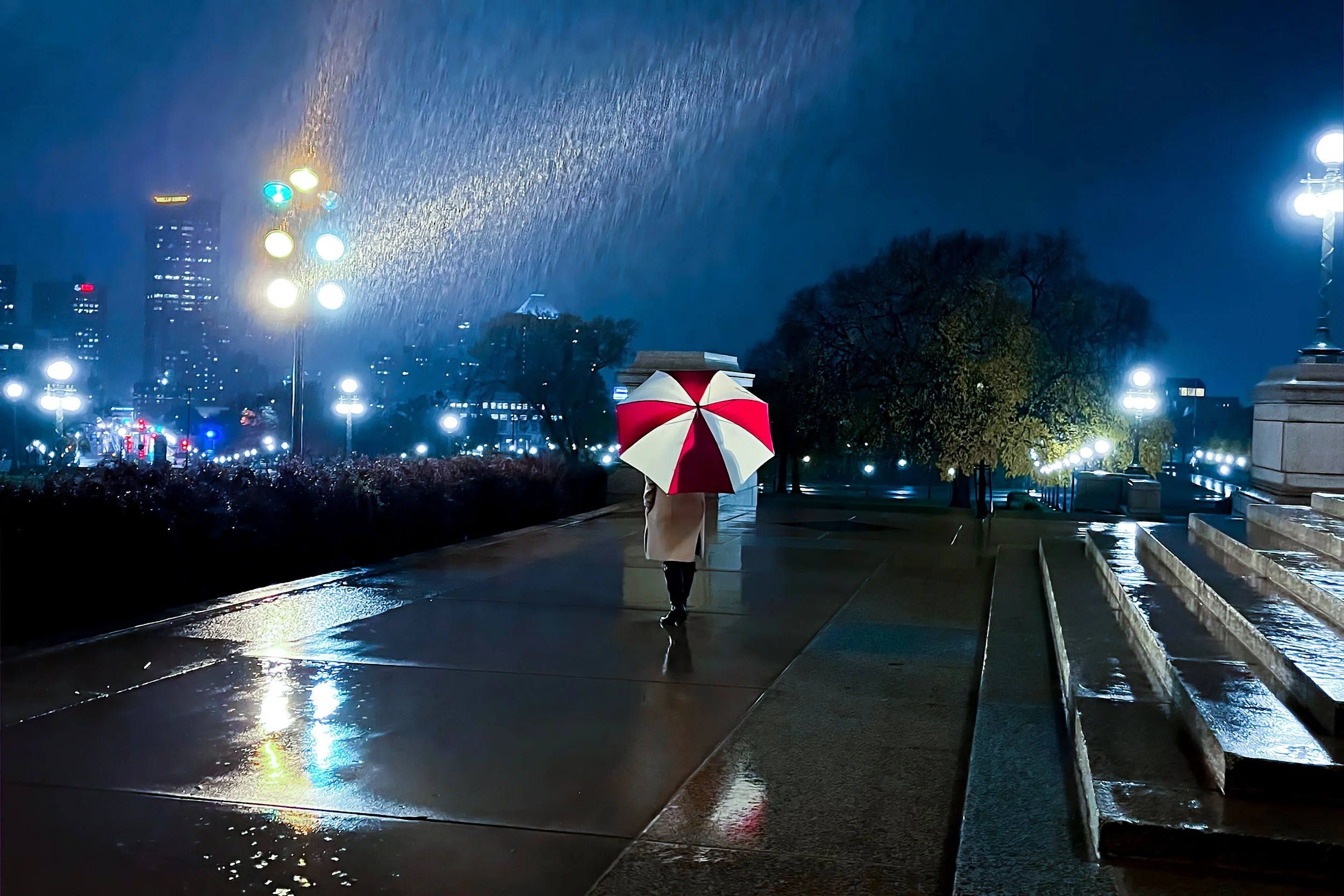 TheGirlWithTheUmbrella_by_Shannon_Donnelly.jpg