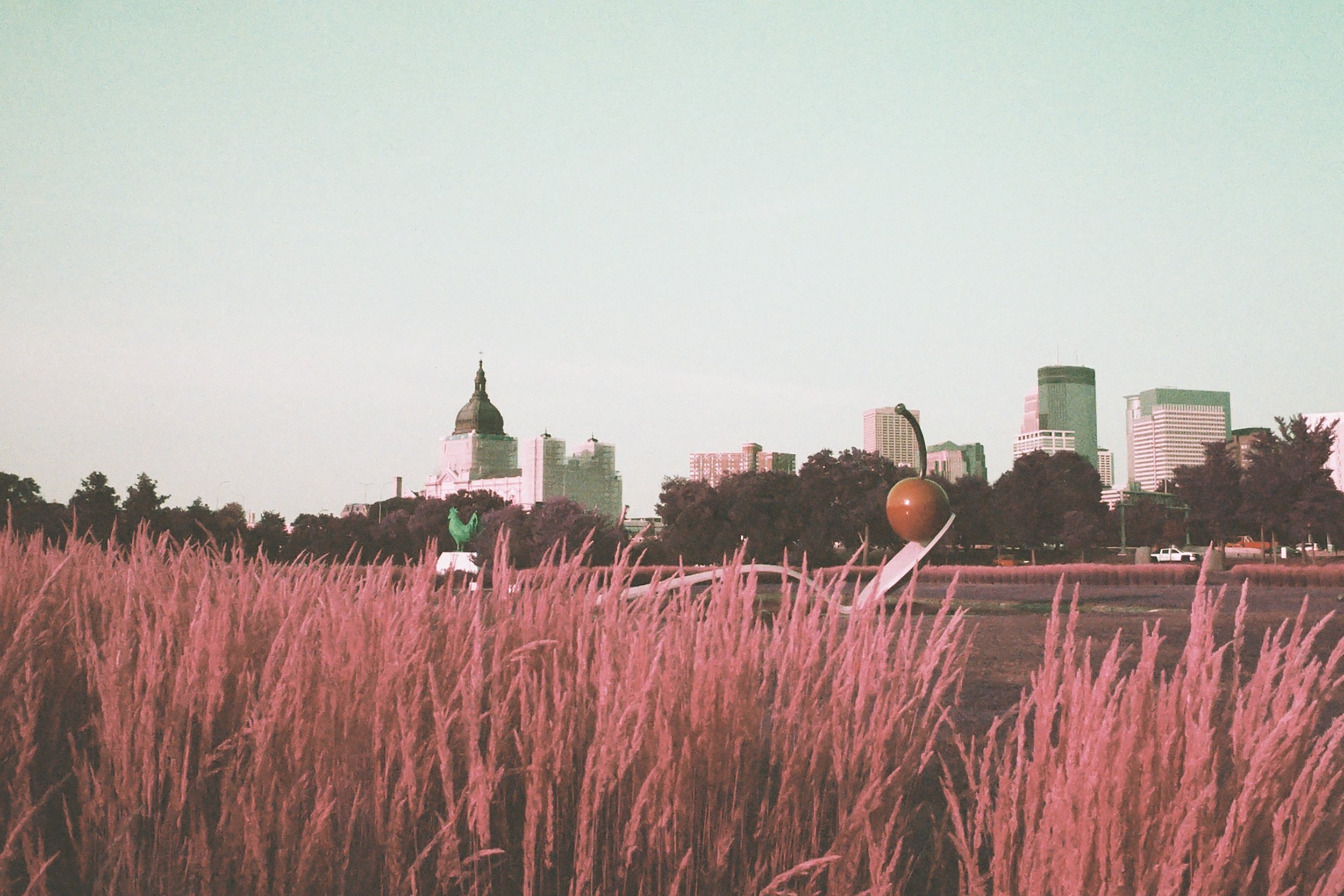 Lomo Purple - Cherry.jpg