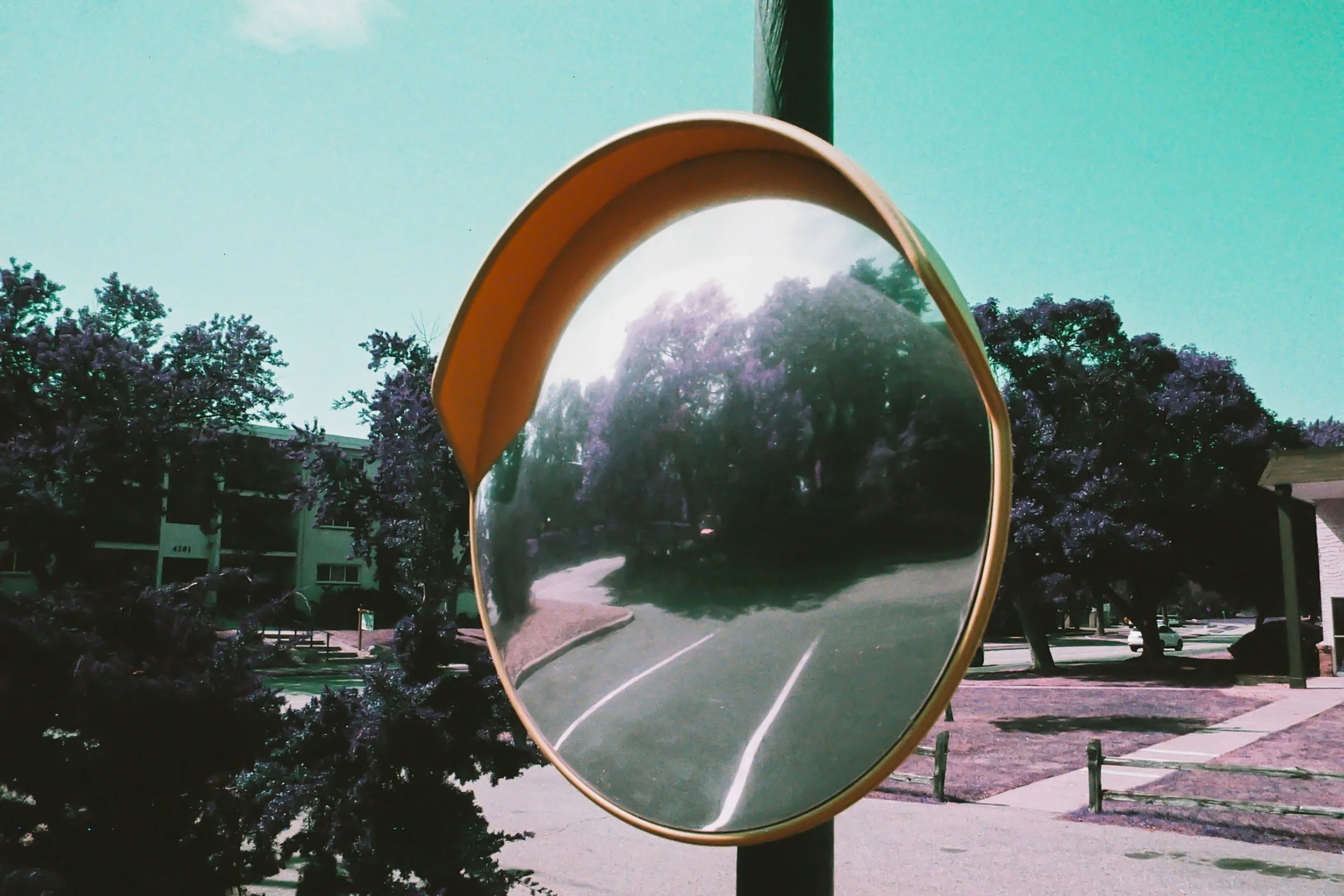 Lomo Purple - Mirror.jpg