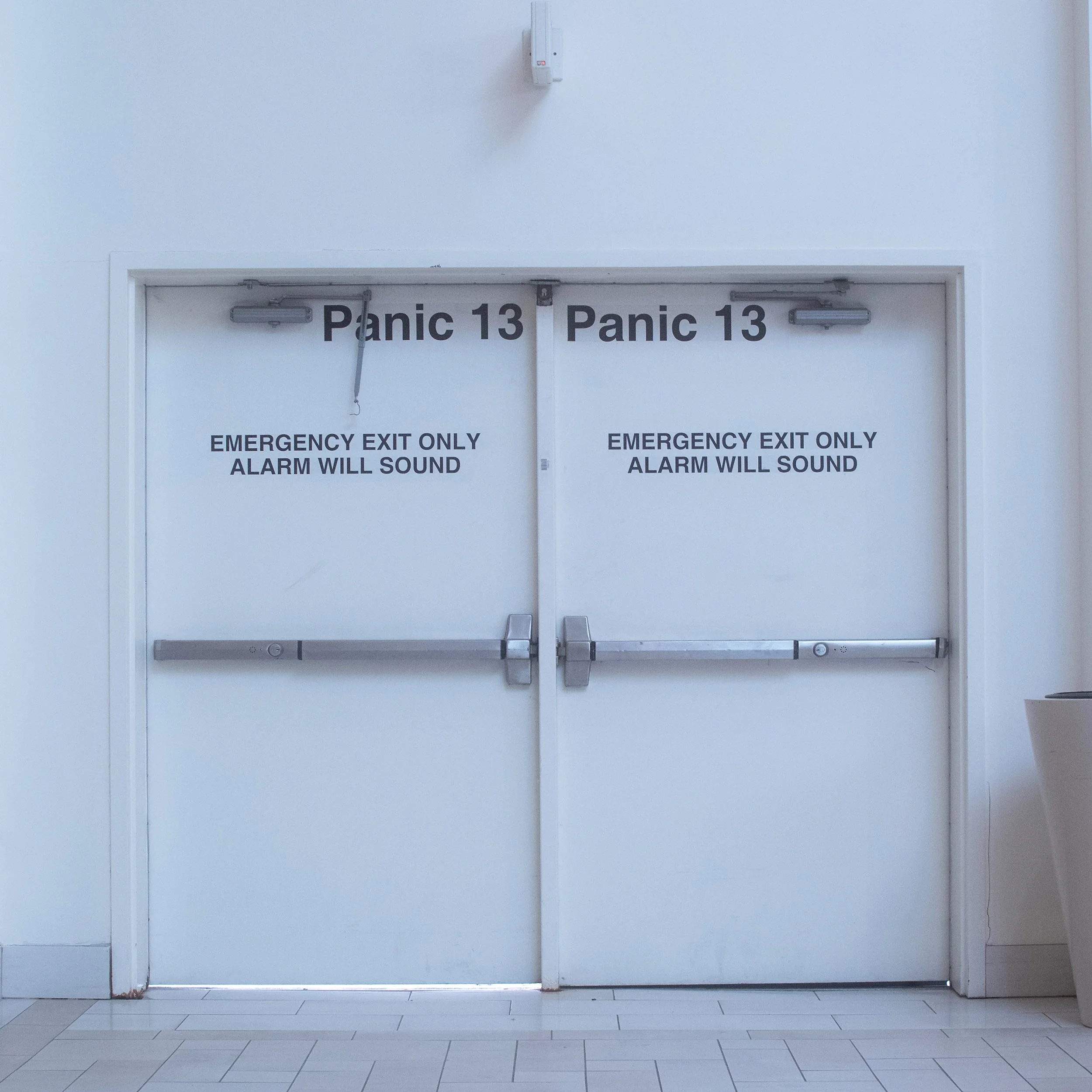 Panic13_by_Shannon_Donnelly.jpg