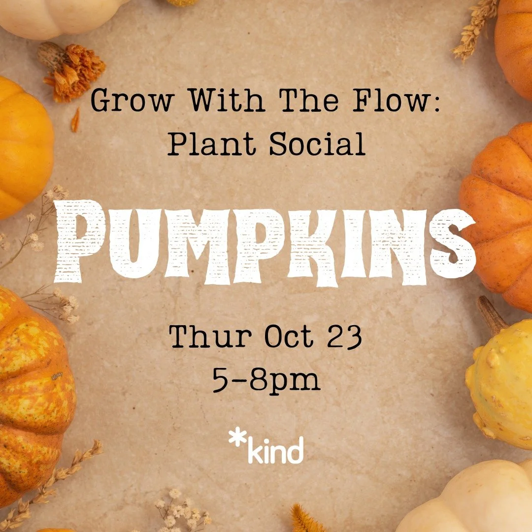 Grow With The Flow: Plant Social
Pumpkins
Thur Oct 23
5-8pm
Registration link and full access notes in bio/Linktree.
Image Description: A photo of pumpkins and flowers.