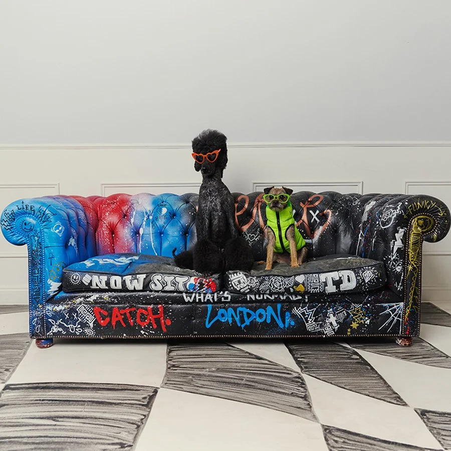 Two dogs sitting on a colorful, graffiti-style couch, wearing sunglasses, in a room with black and white patterned floor.