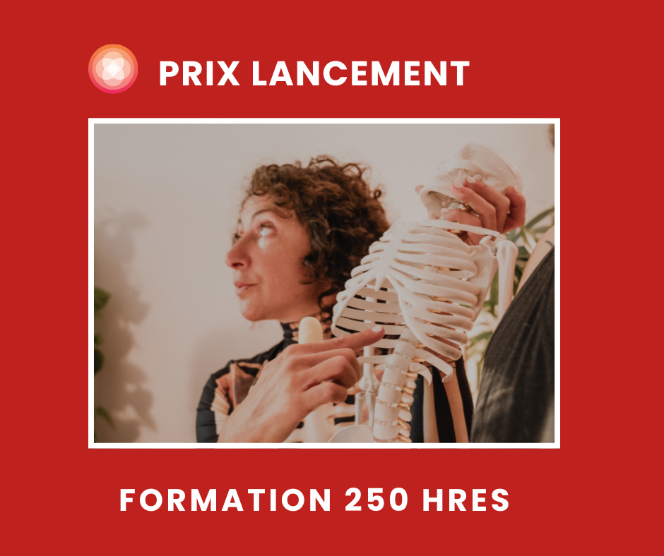Formation 250 h de yoga thérapeutique | Offre de lancement