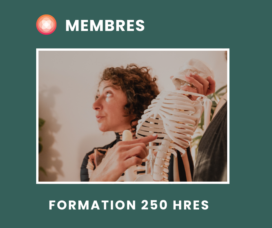 Formation 250 h de yoga thérapeutique | Membre