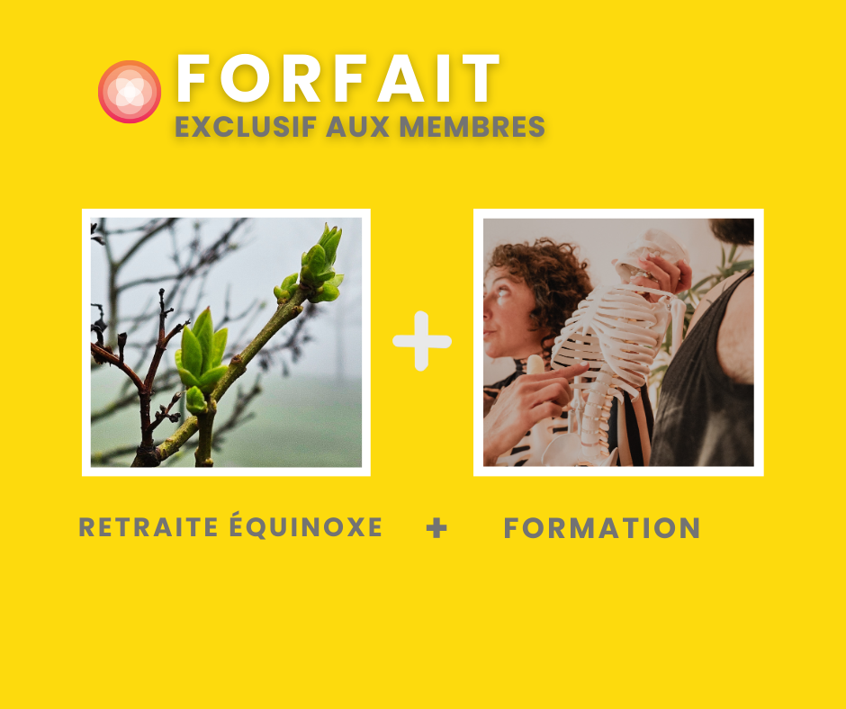 Combo Formation 250 h + Retraite