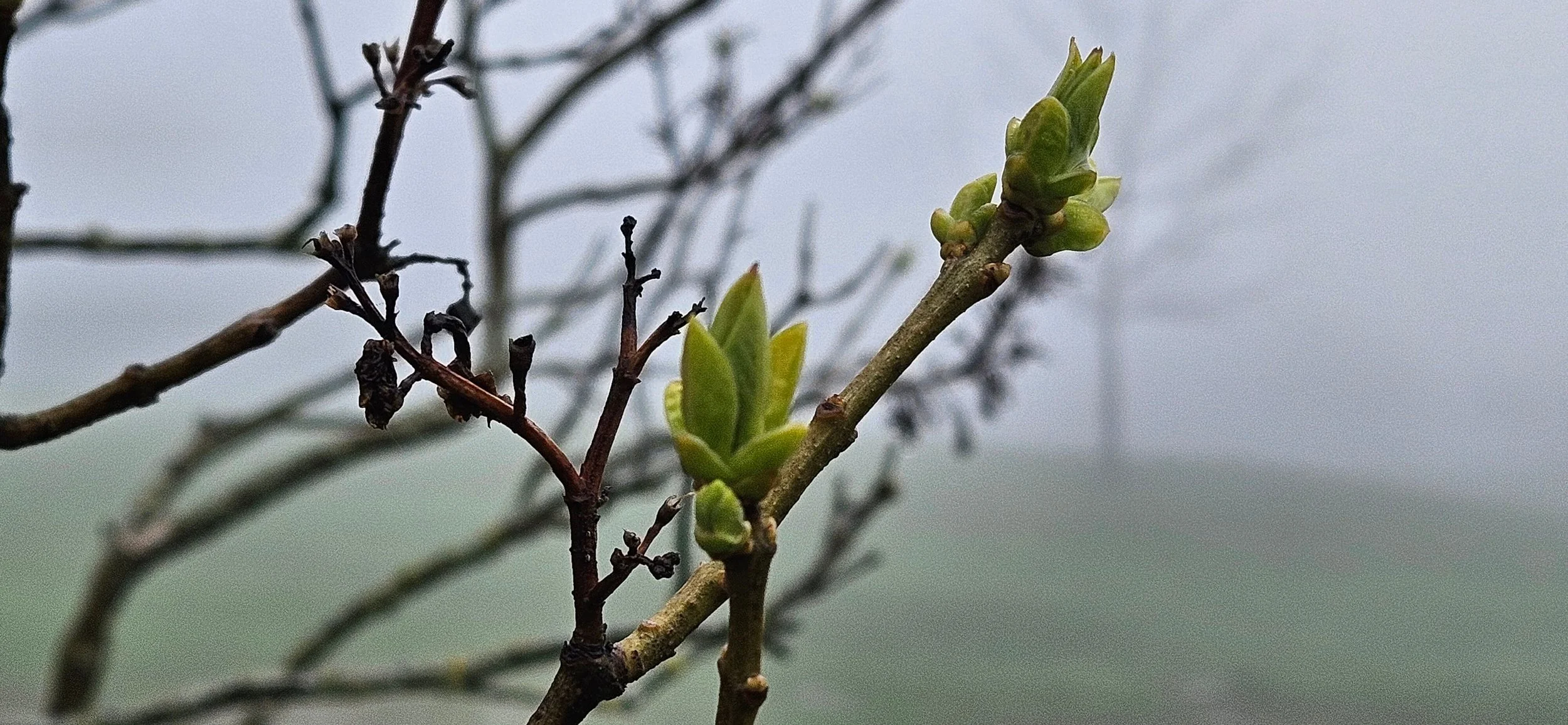 Retraite de 3 jours Tout en Santé