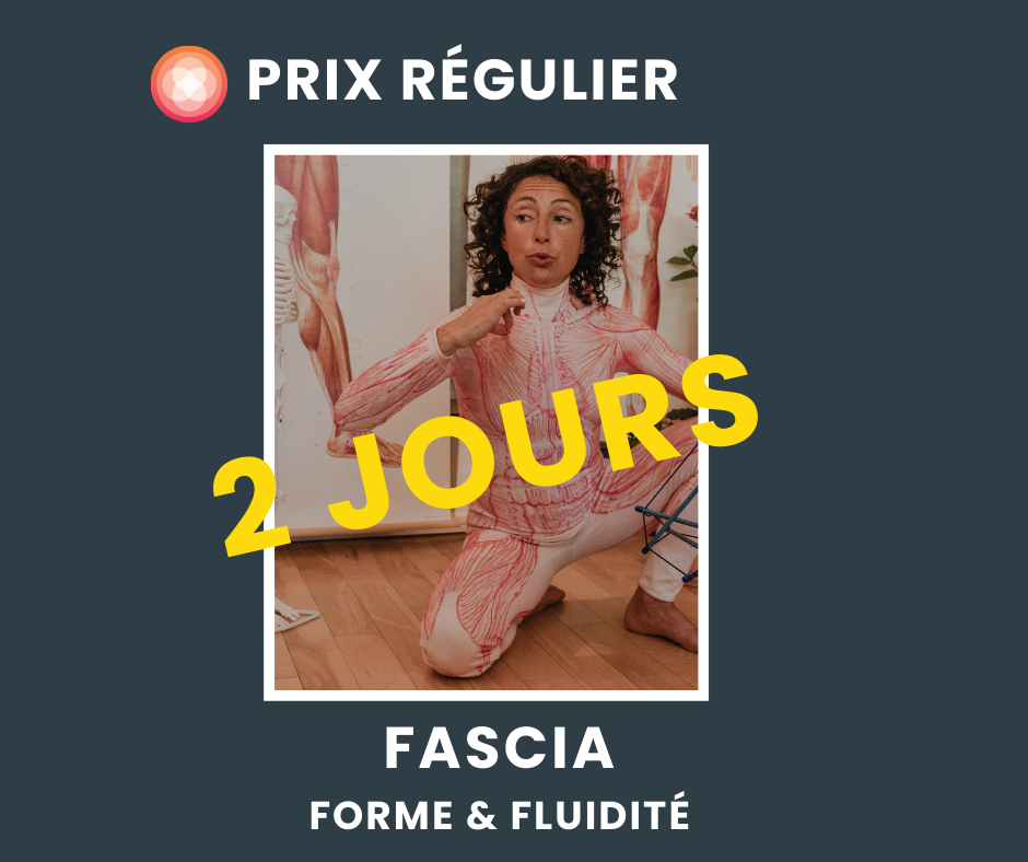 Fascia, Forme & Fluidité | Atelier POUR TOUS