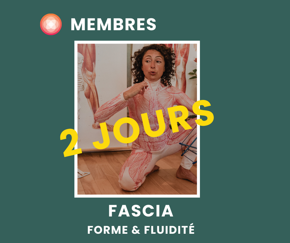 Fascia, Forme & Fluidité | POUR TOUS (membre)