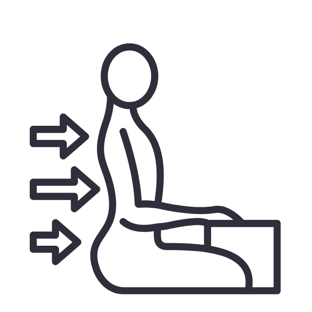 Posture, mouvement et adaptation