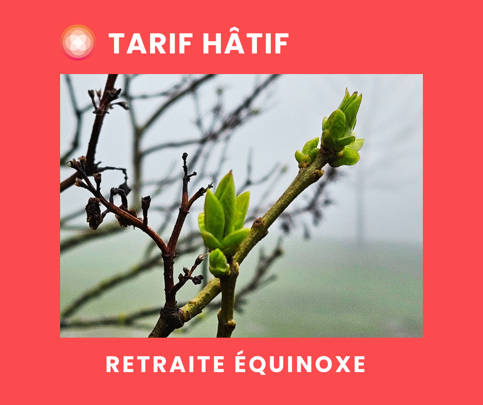 Retraite Tout en santé | Early bird