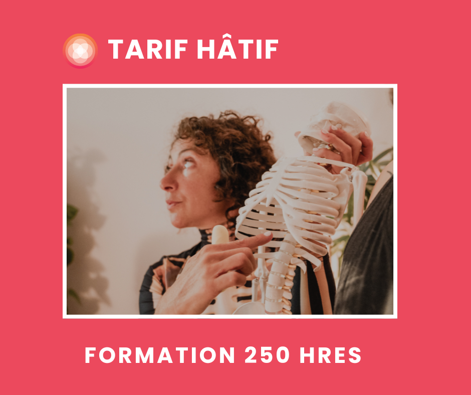 Formation 250 h de yoga thérapeutique |  Early bird
